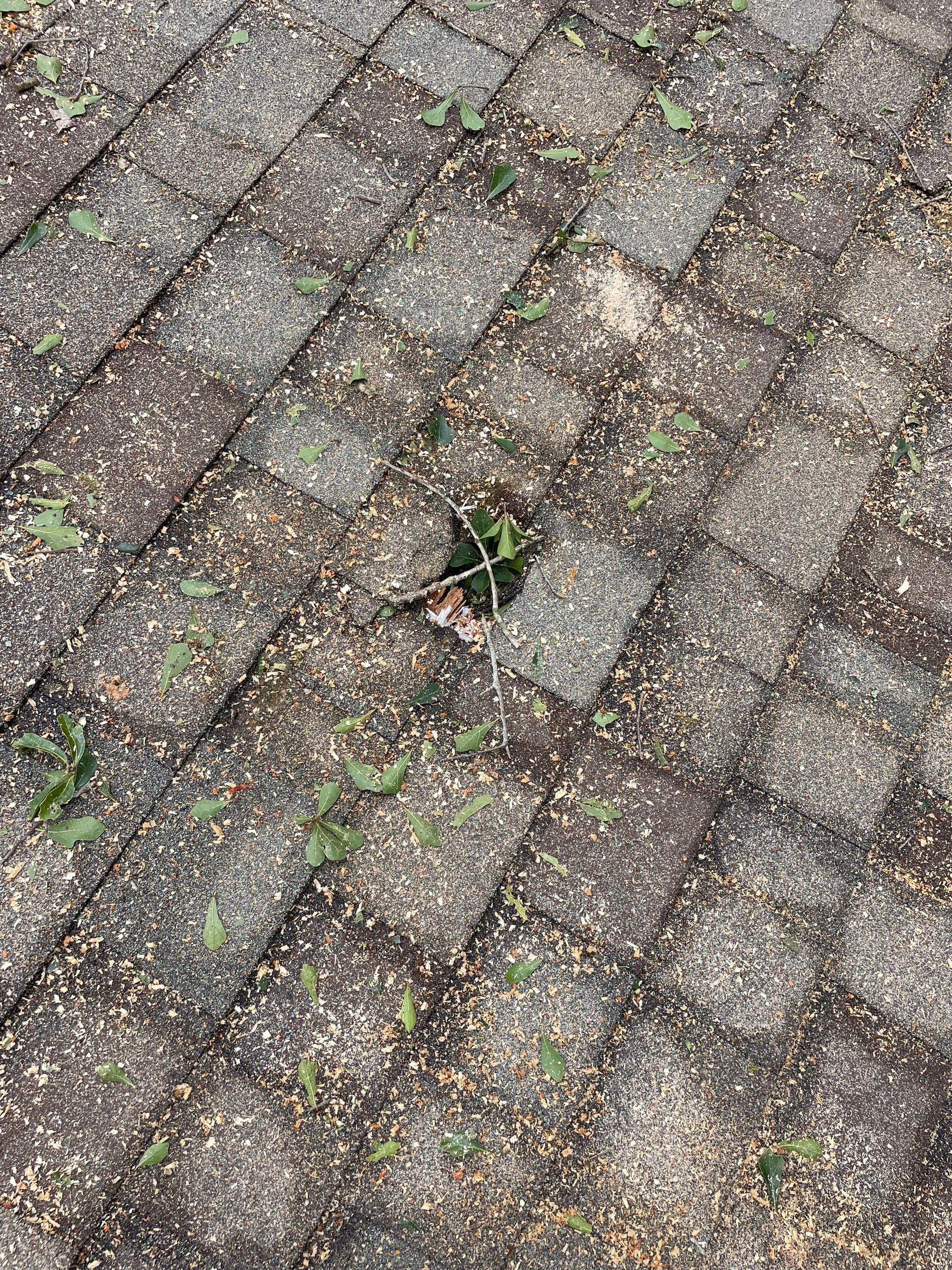Residential Roofing Repair using Owen's Corning Duration (Lifetime) Shingles by Roof Repair Services LLC