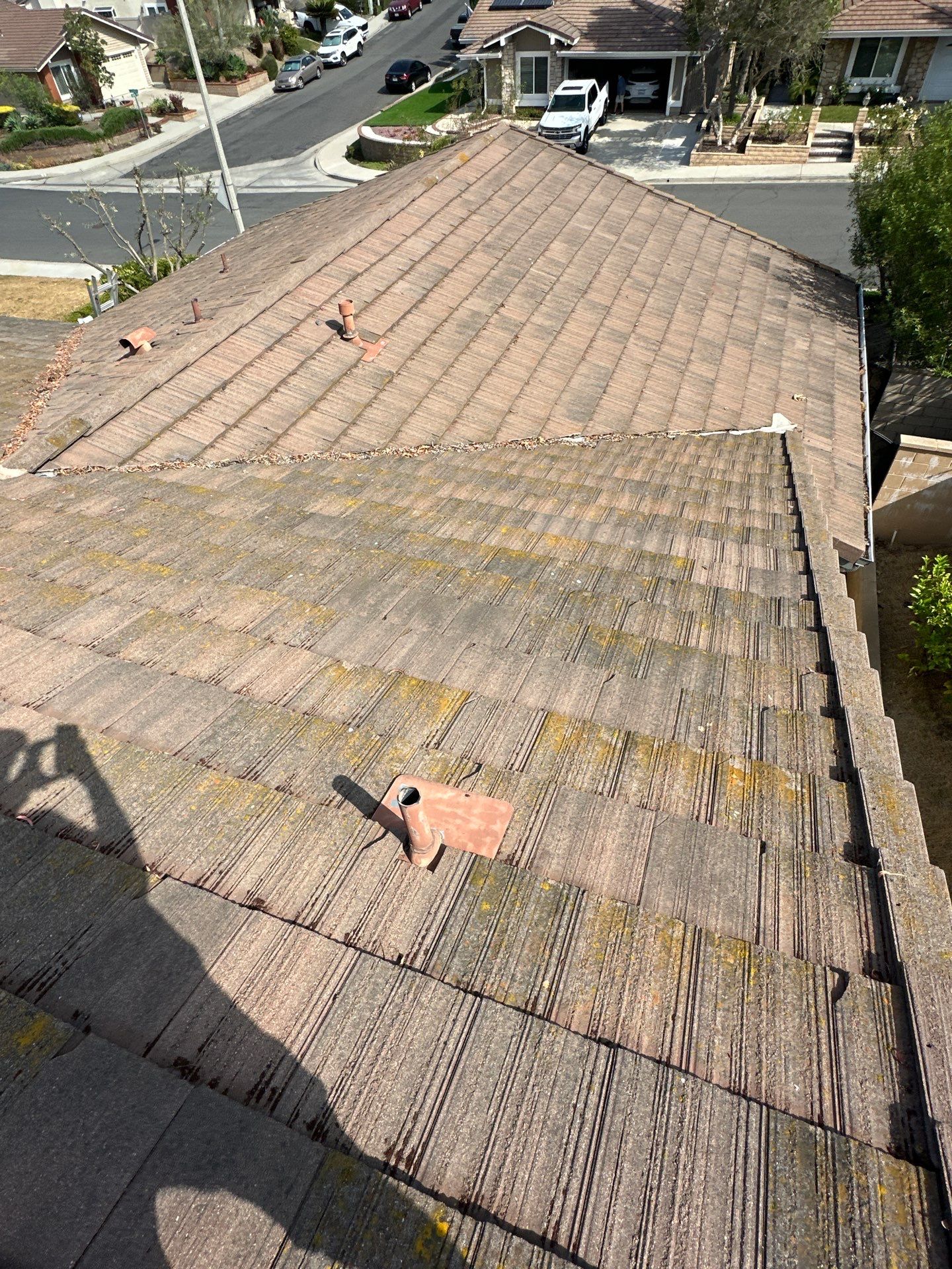 Orange County Roof Washing in Lake Forest by Property Cleaning Experts