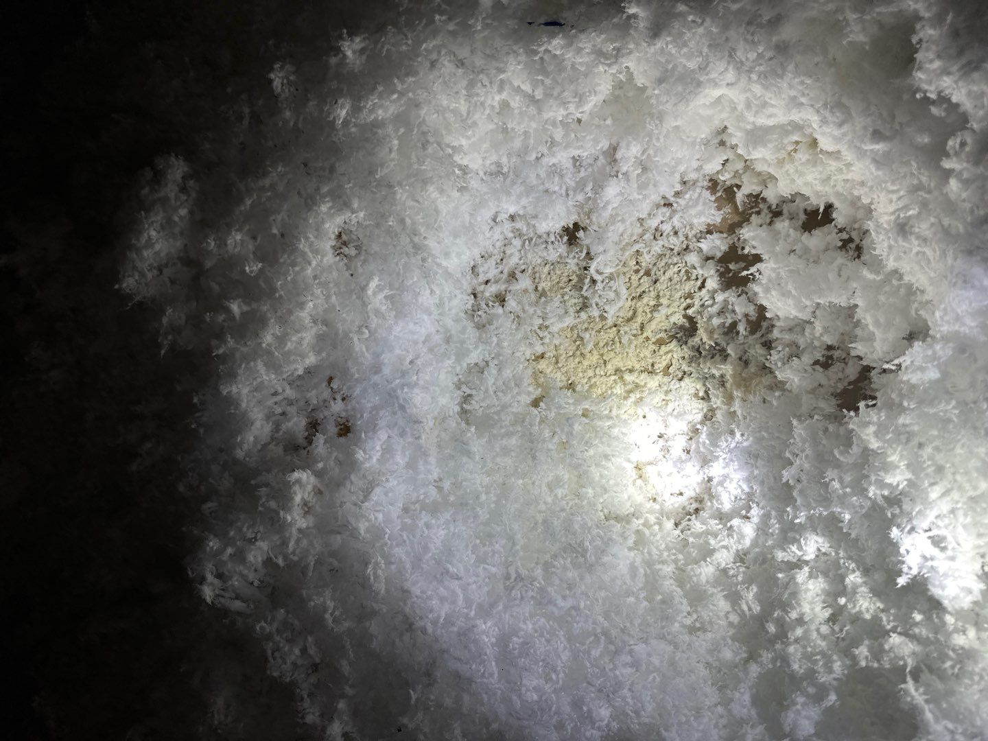 Hail Damage using Owen's Corning Duration (Lifetime) Shingles by Roof Repair Company