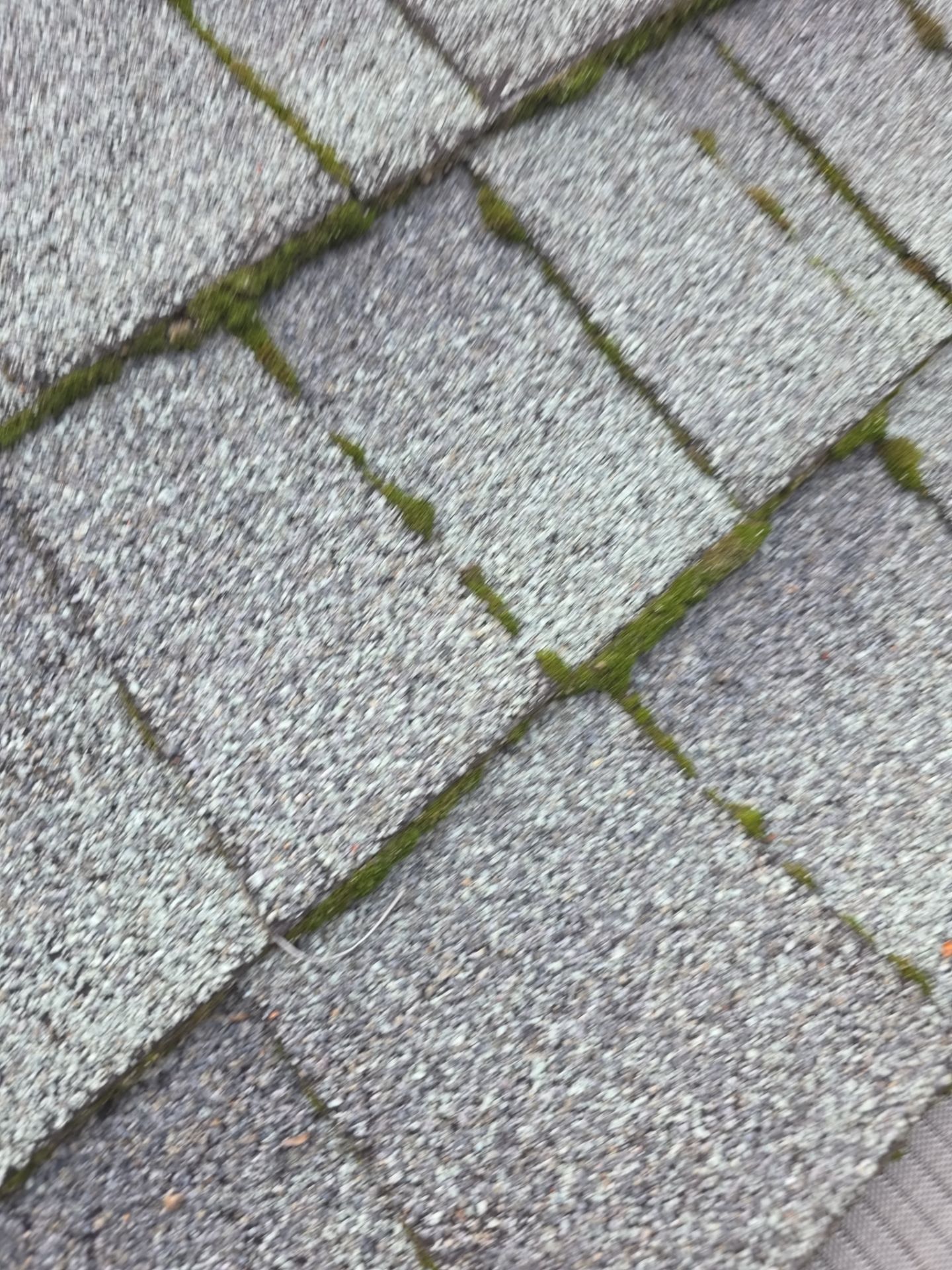 Roof Rejuvenation using Roof Maxx Treatment by Roof Maxx of Folsom