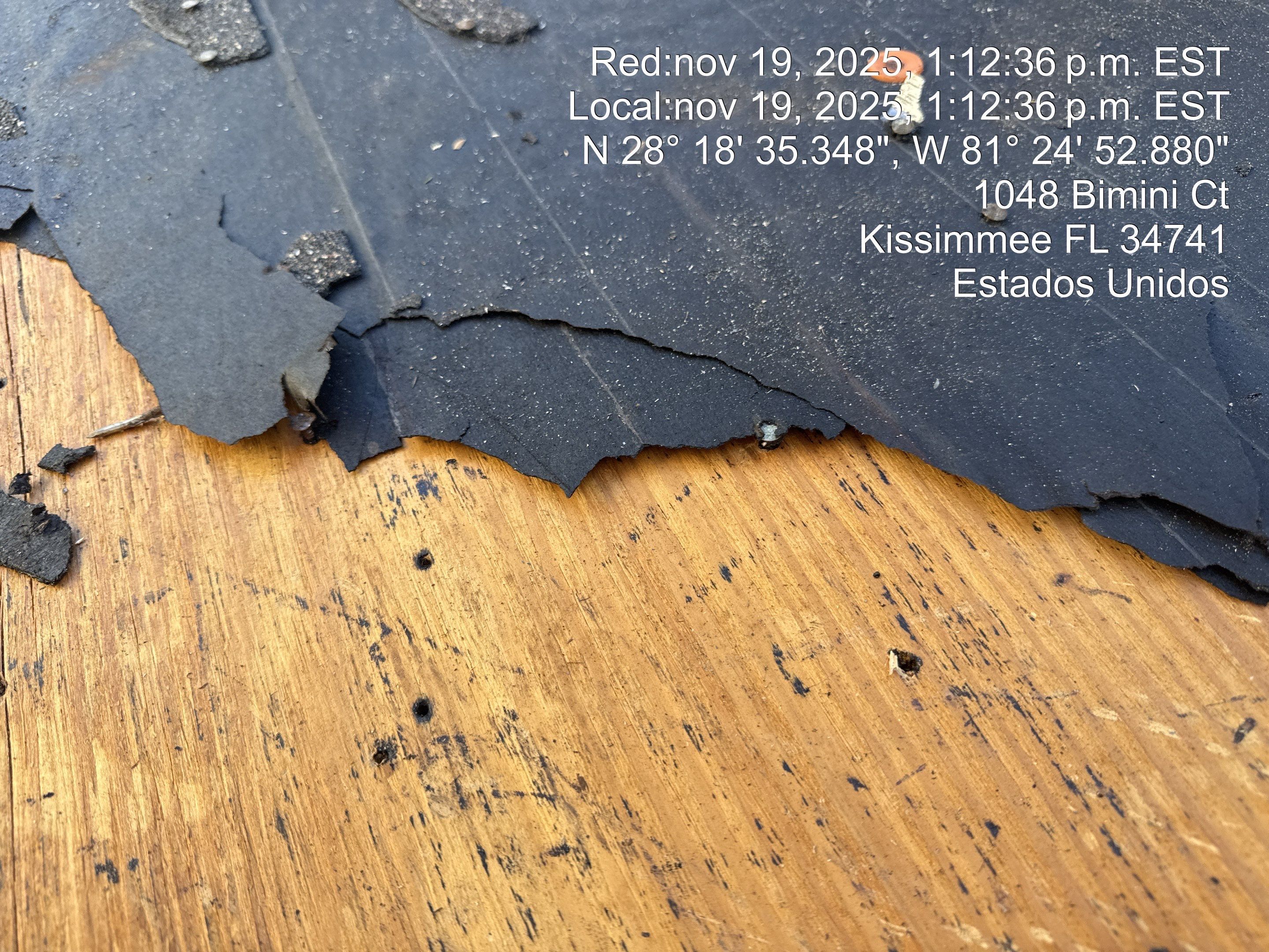 Project in Kissimmee by You Restorations LLC DBA YOU-Home