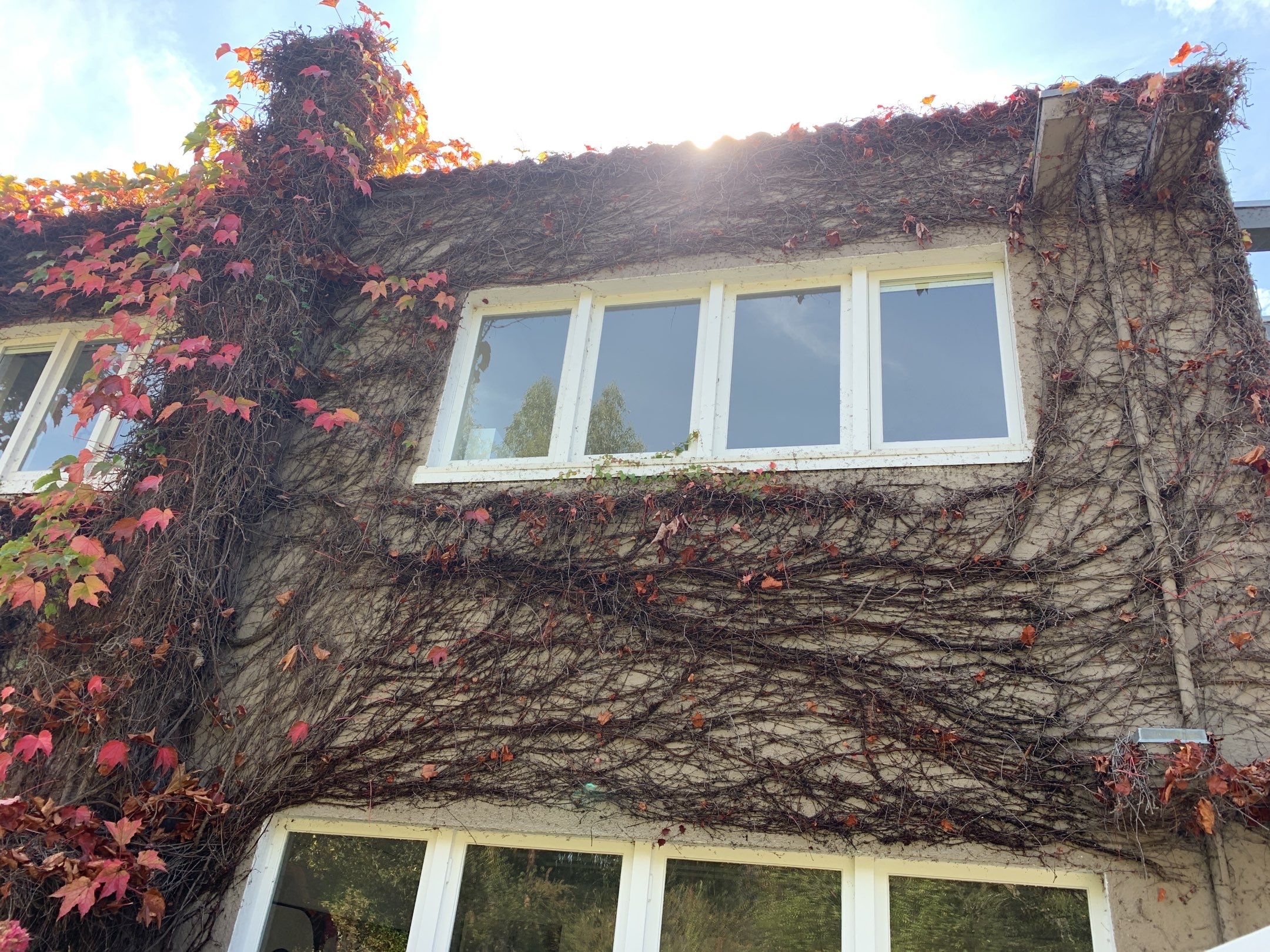 John & Teresa Creighton by SpotFree Window Cleaning