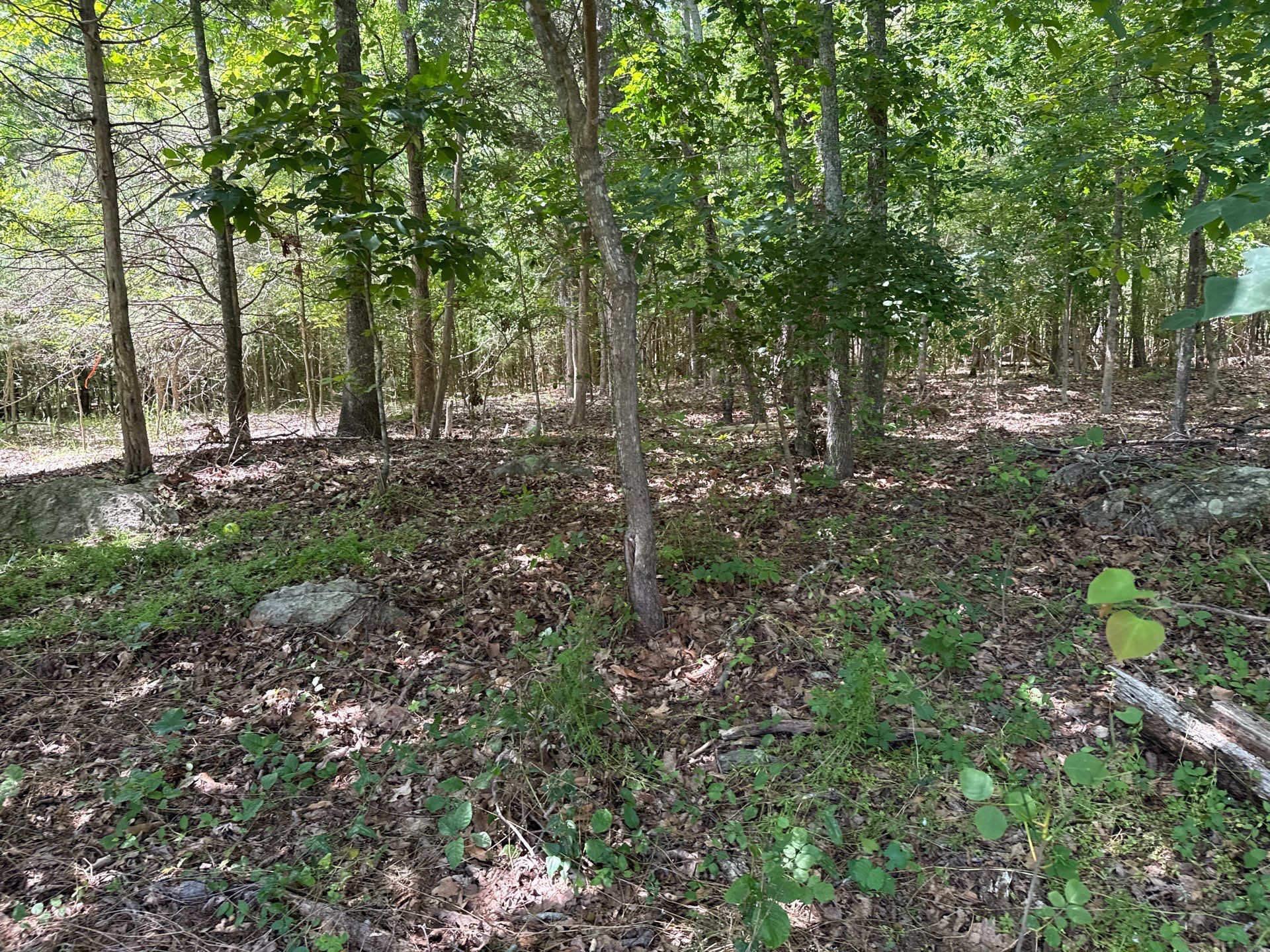 Project in Mint Hill by Badger Hauling