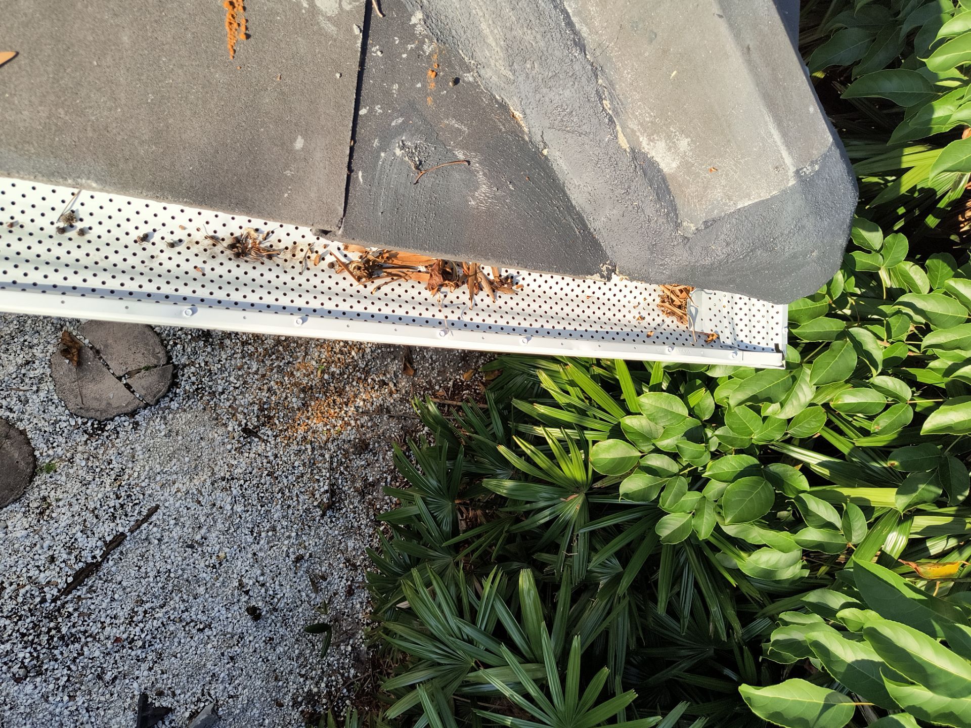 Custom Color Gutter Solutions in Sarasota FL by Gutter Professors