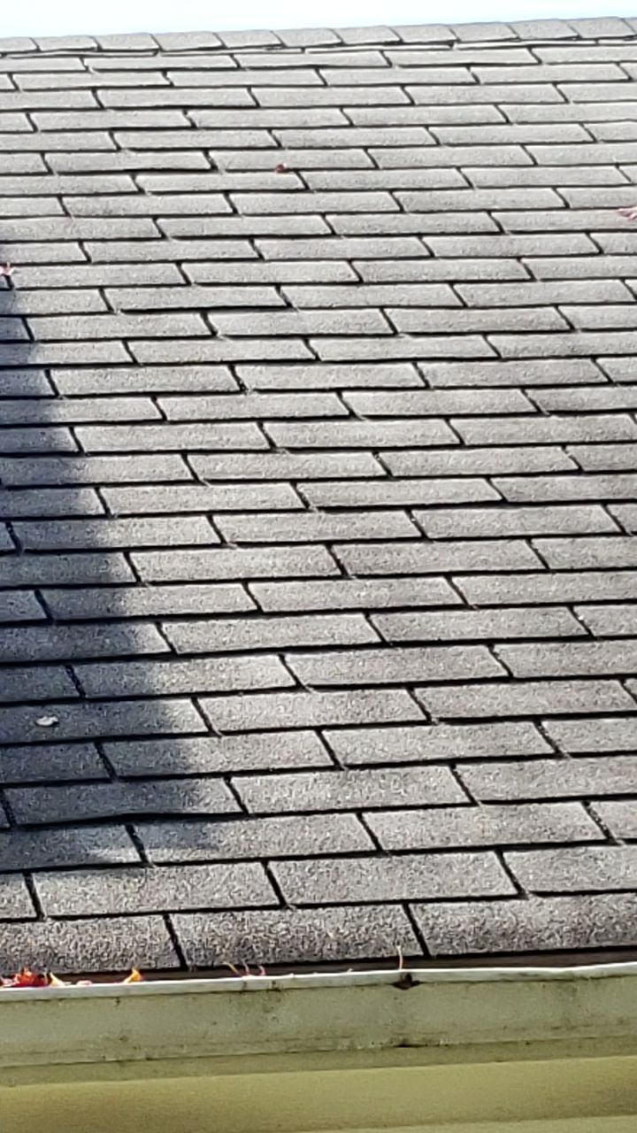 ATLAS PINNACLE SCOTCHGARD COLOR: PEWTER DRIP EDGE: BLACK by Eagle Eye Roofing