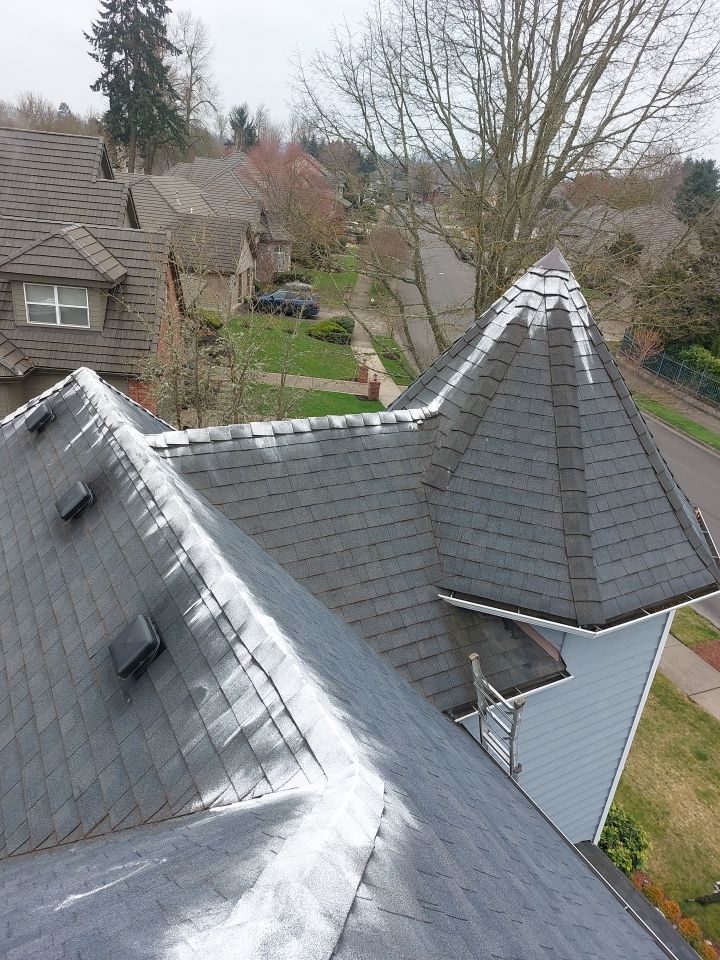 Roof Cleaning  using Moss Treatment  by BEST Roofing & Waterproofing