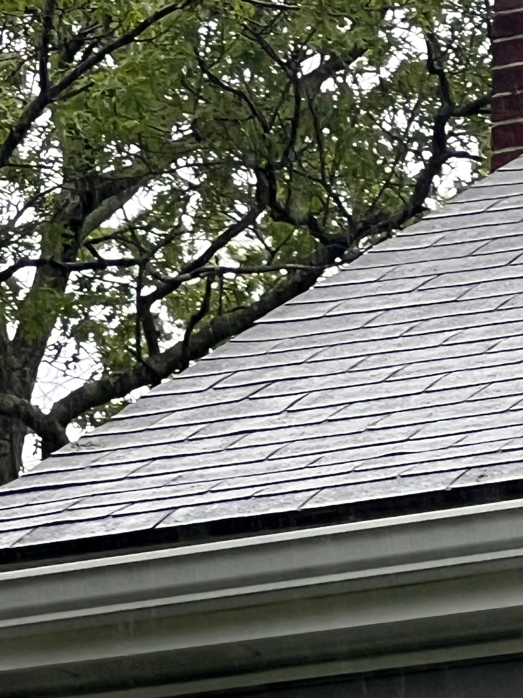 Complete Roof Replacement with Ventilation Upgrade by Mighty Dog Roofing of Greater Middlesex County