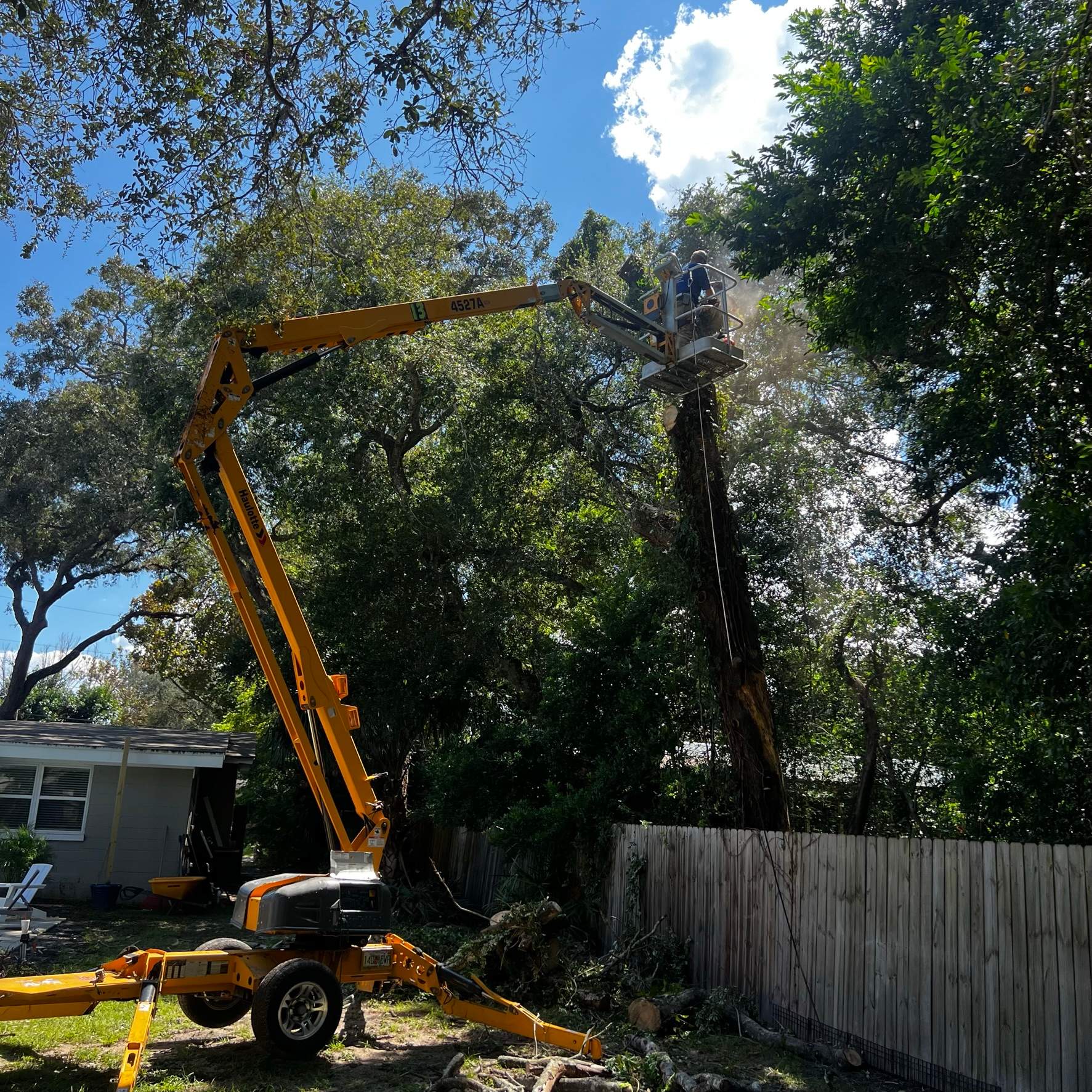 Tree Removal | Residential by ProGreen Services