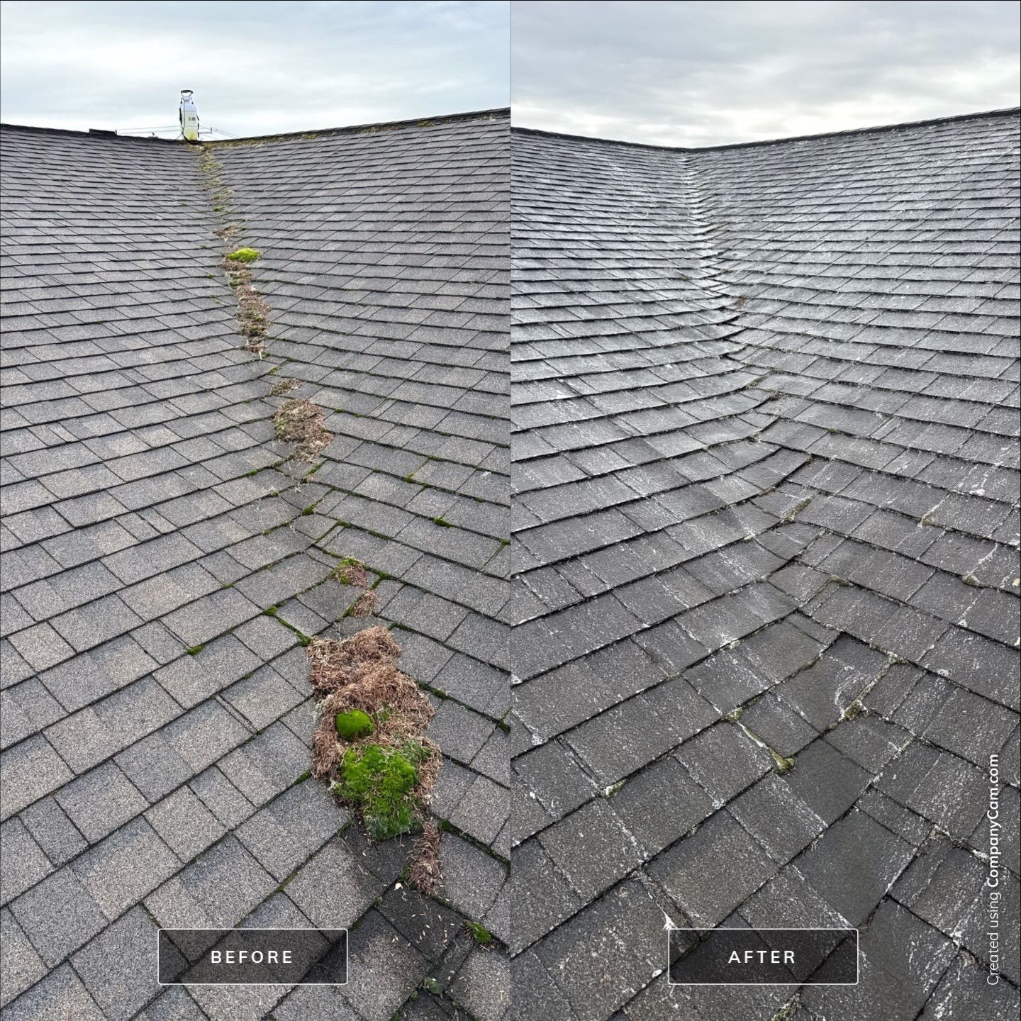 Animal Shelter Deep Clean: Roof Restoration & Concrete Surfaces by Rolling Suds of Oregon Coast – Salem