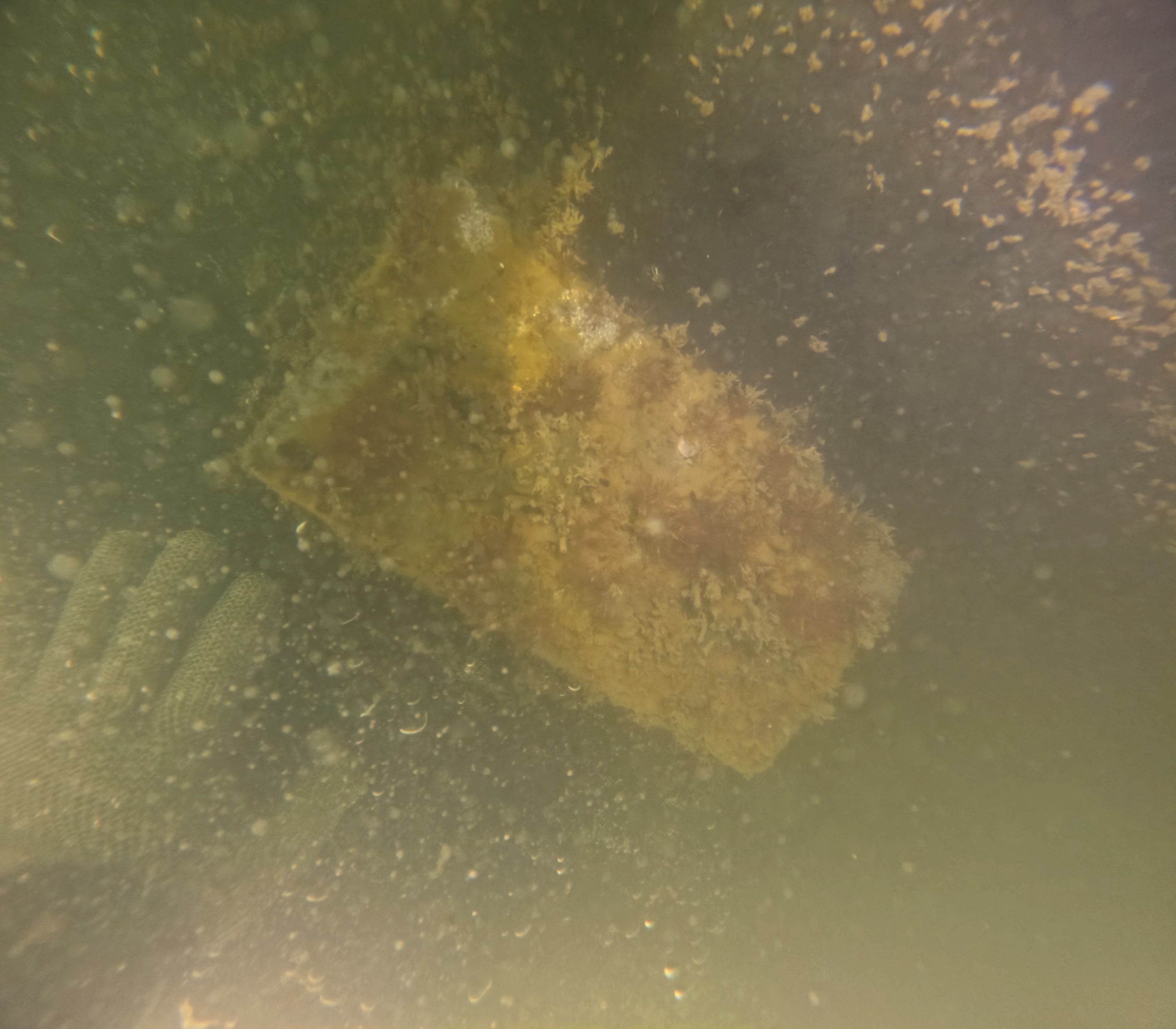 Project in Marco island, FL by Florida Hull Cleaning 