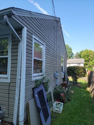 Brand: Atlas Pinnacle Color: Pristine Scotchgard Sienna Drip: White