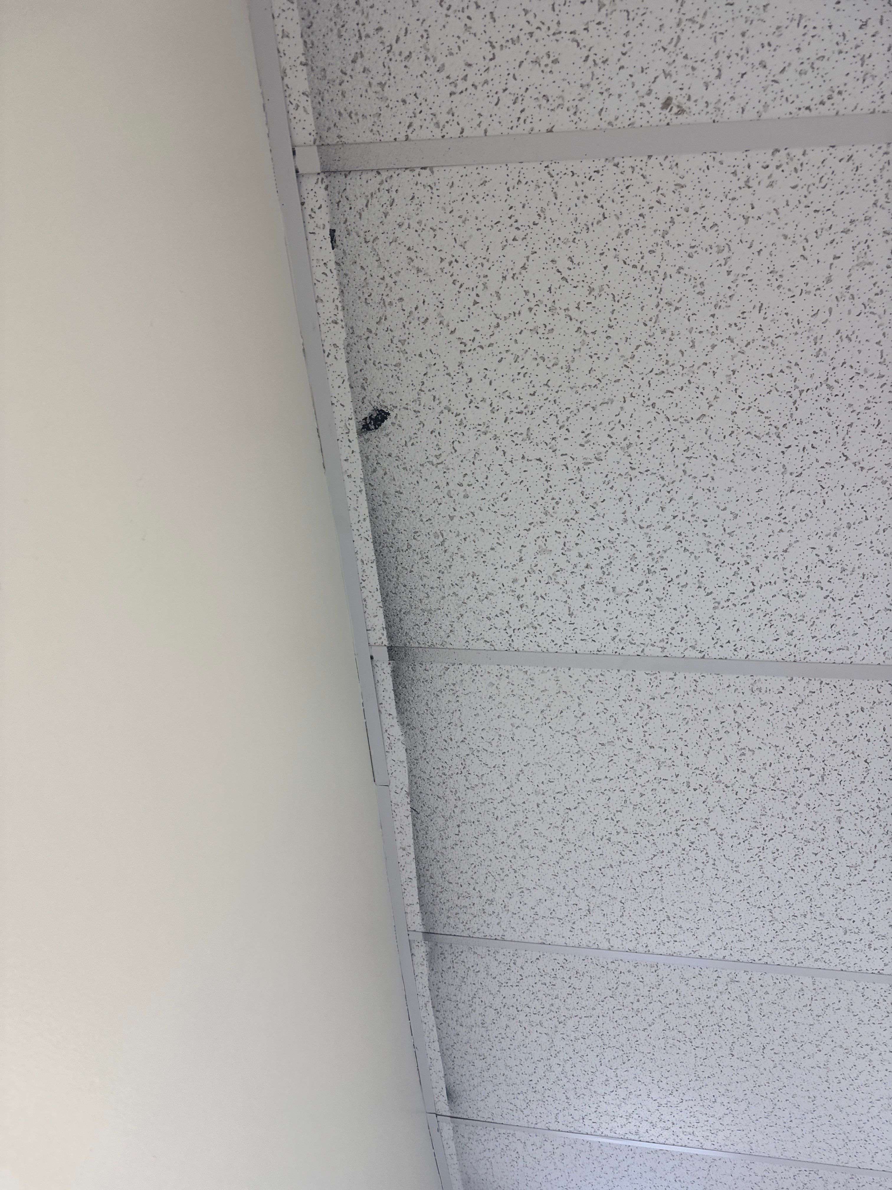 Repaint Walls in Commercial Unit by Midwest Paint LLC