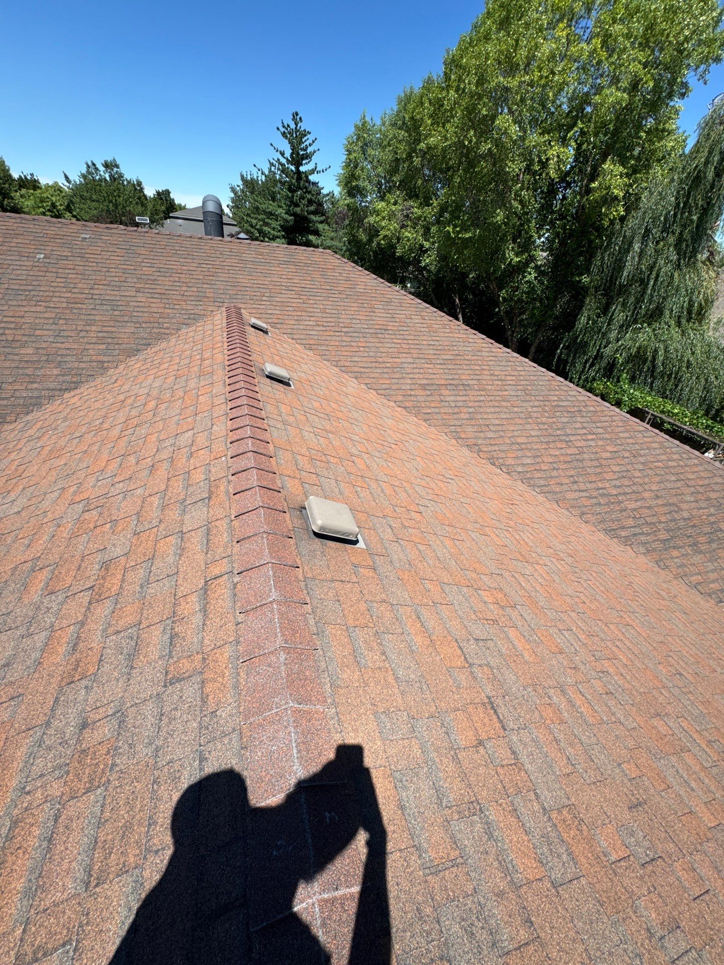 Boise Commercial Roof Replacement with Brown Architectural Shingles by Olive Roofing