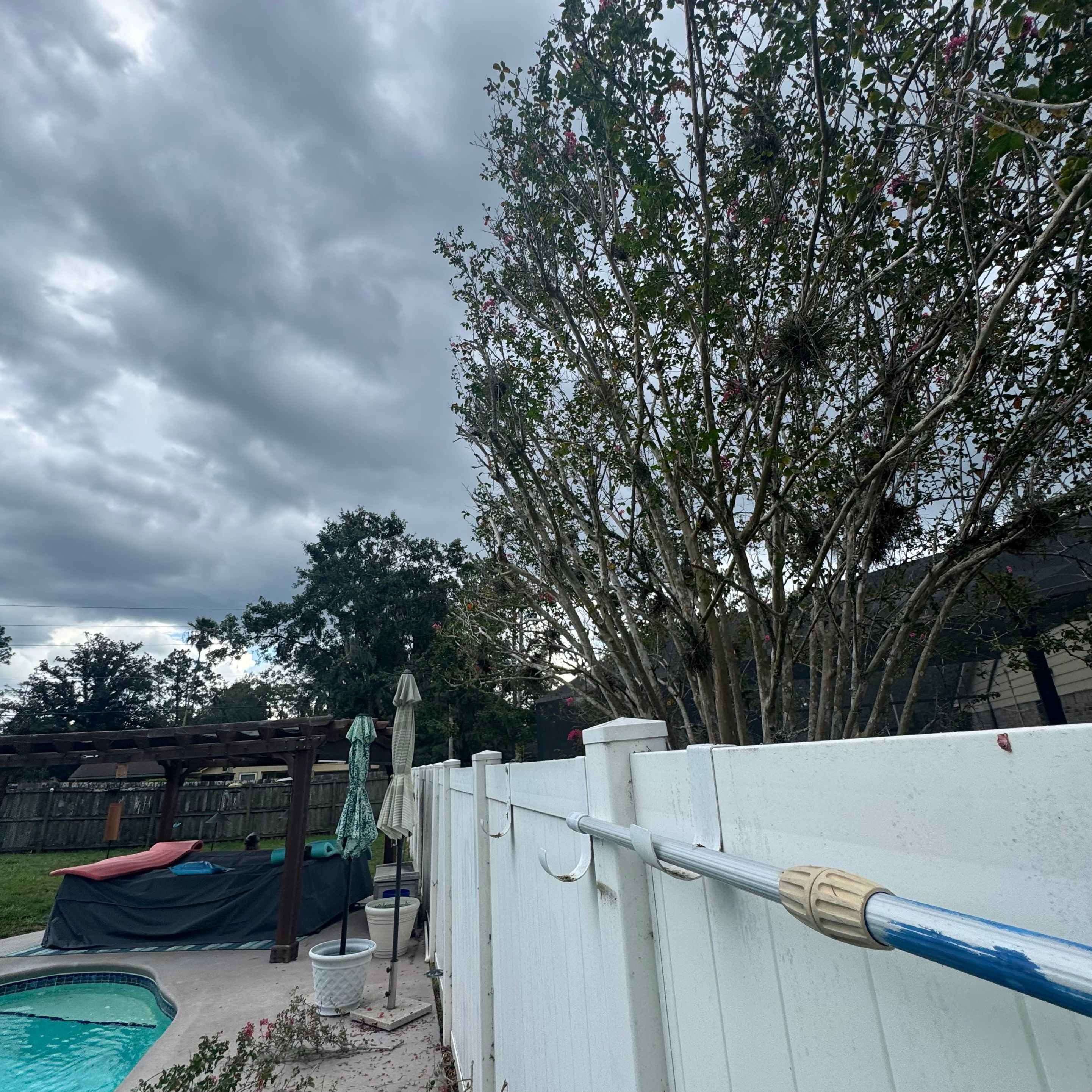 Residential | Tree Trimming  by ProGreen Services