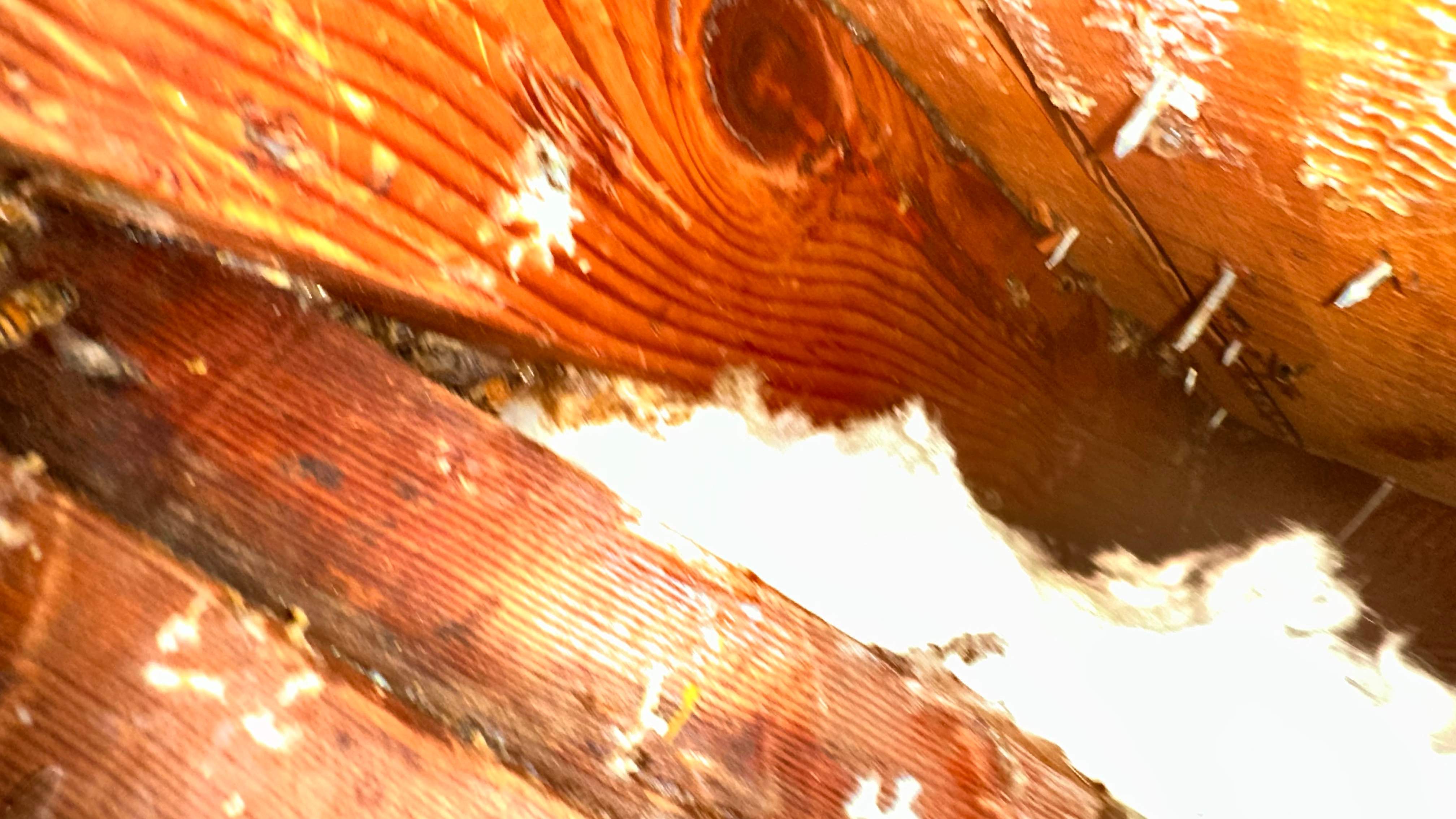 Golf Couse by Rockwall Honey Bee Company