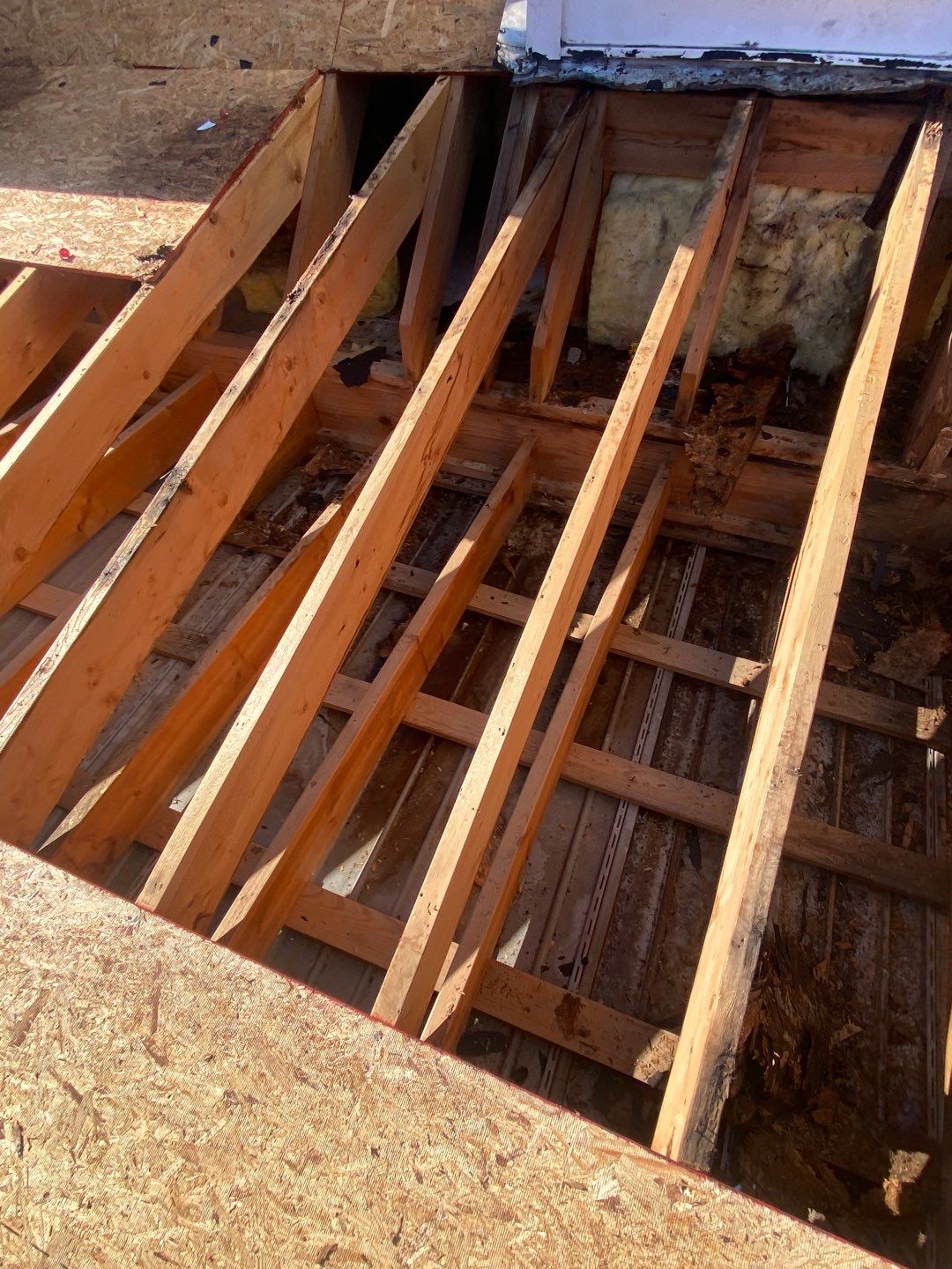 Project in Creedmoor - Certainteed Landmark Silver Birch by Pro Performance Roofing
