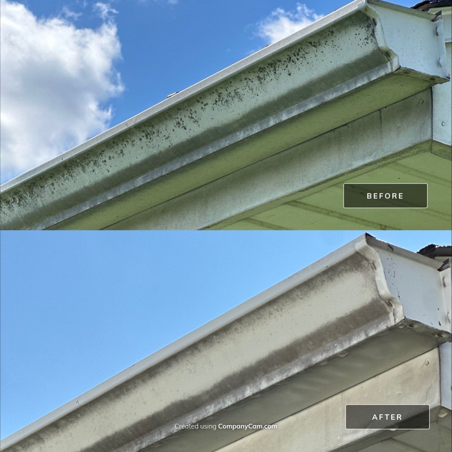 Project in Berkeley by Simmons Power & Soft Washing