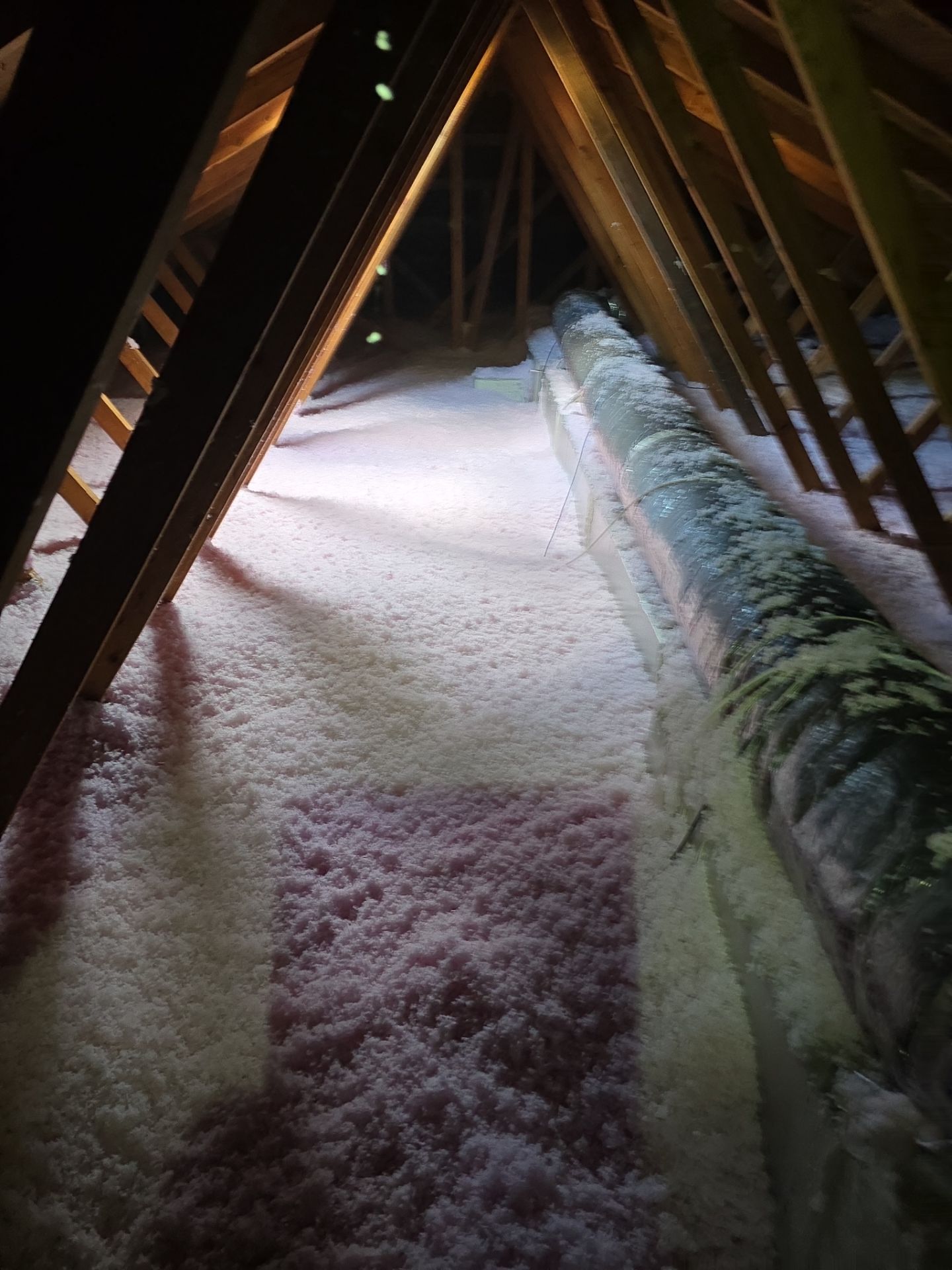 Roof Replacement in Tampa, FL by Shingle Masters Roofing