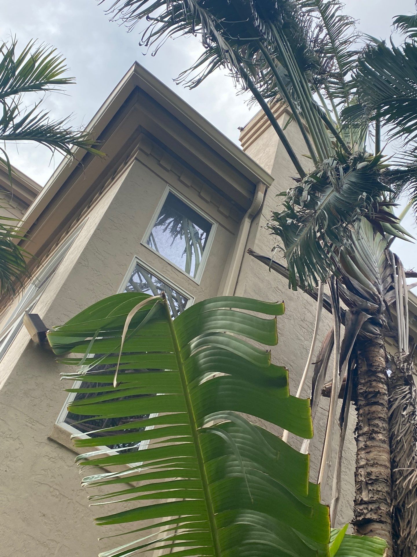 Seamless Gutters in Sarasota FL by Gutter Professors