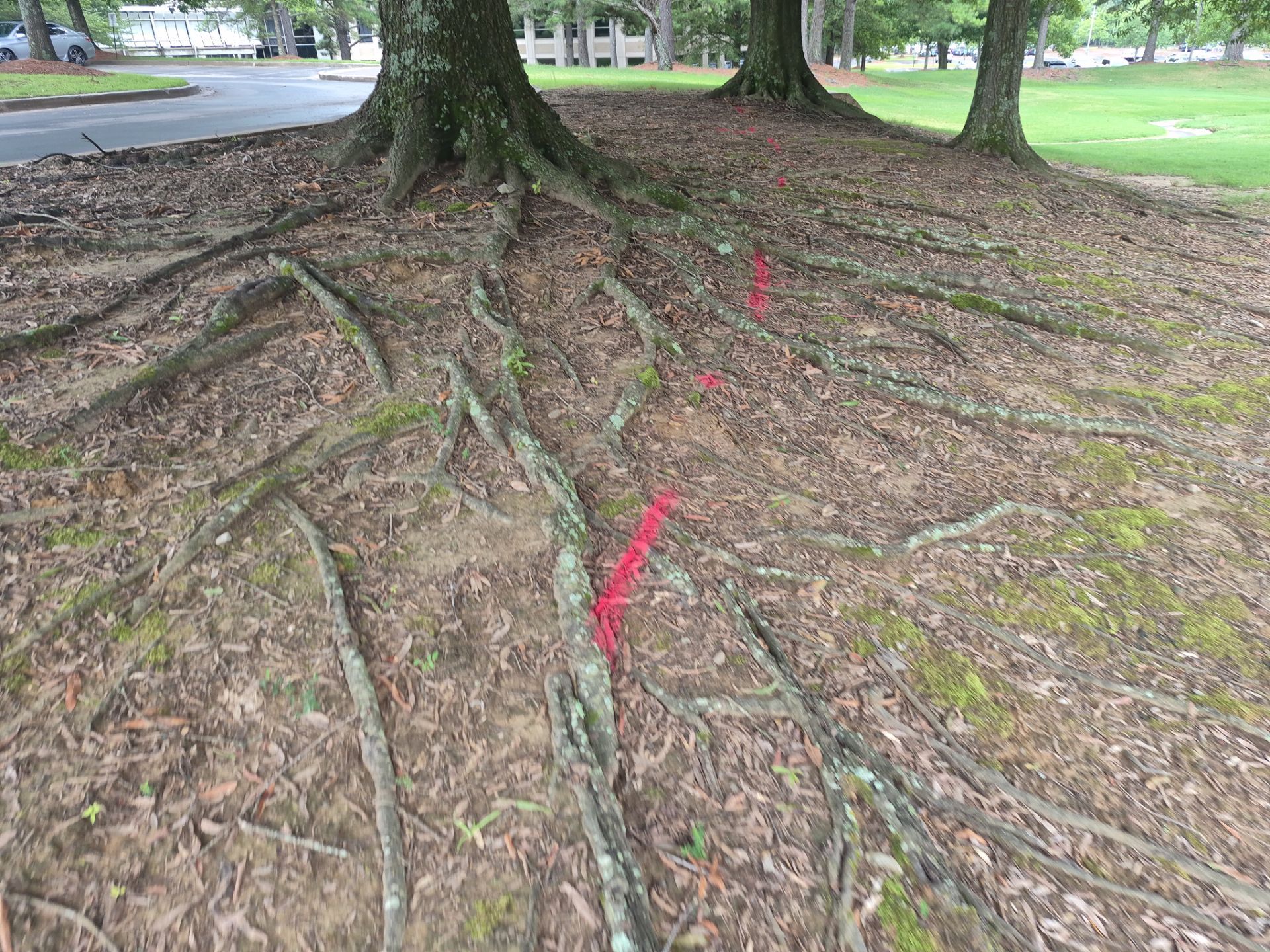 Private Utility Locating and Marking for Collierville Commercial Campus by Alsip Locating Service, LLC