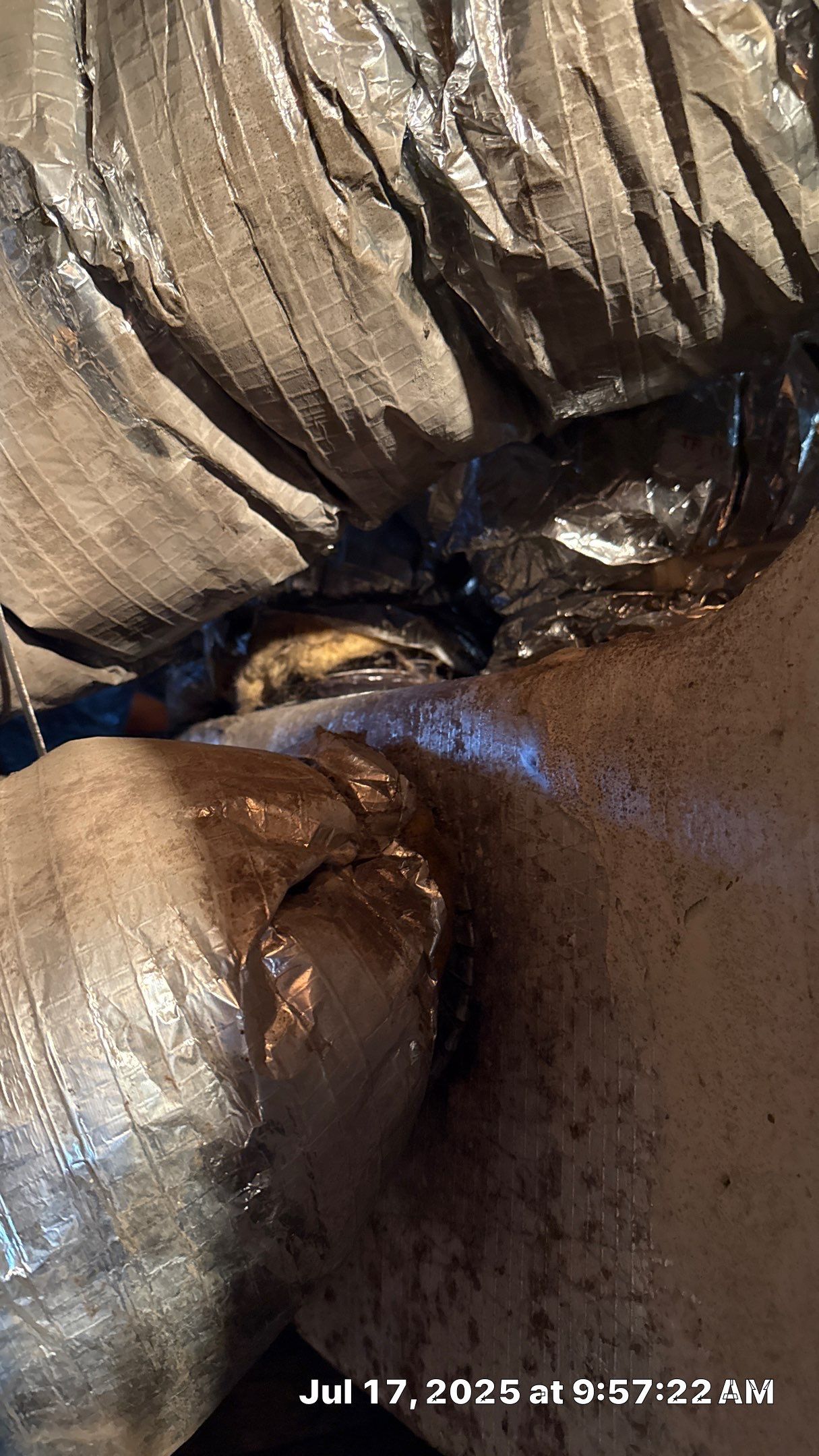 Mold Assessment in a 100+ year old house by Building performance Solutions LLC