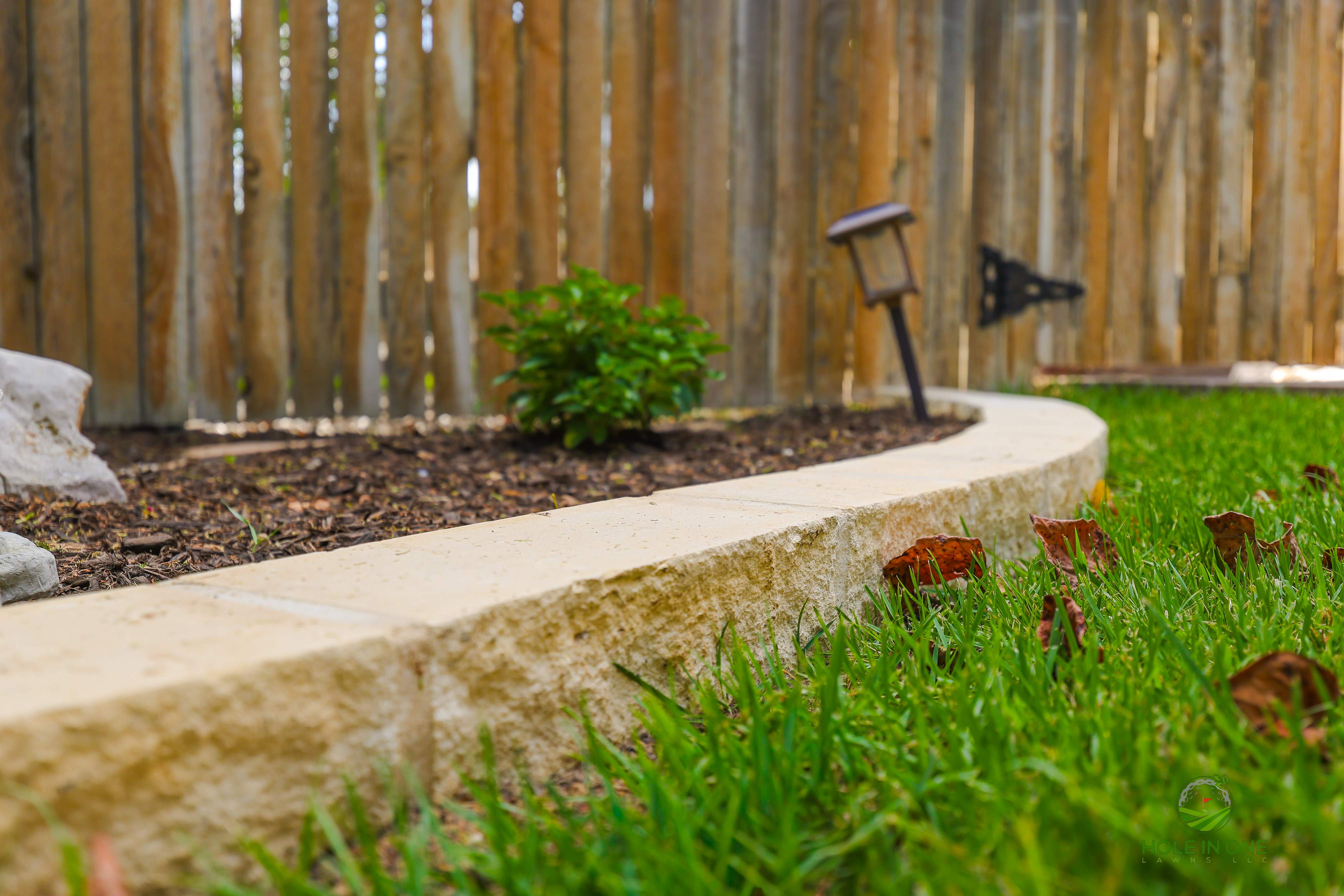Wortham Oak, San Antonio TX by Hole In One Lawns, LLC