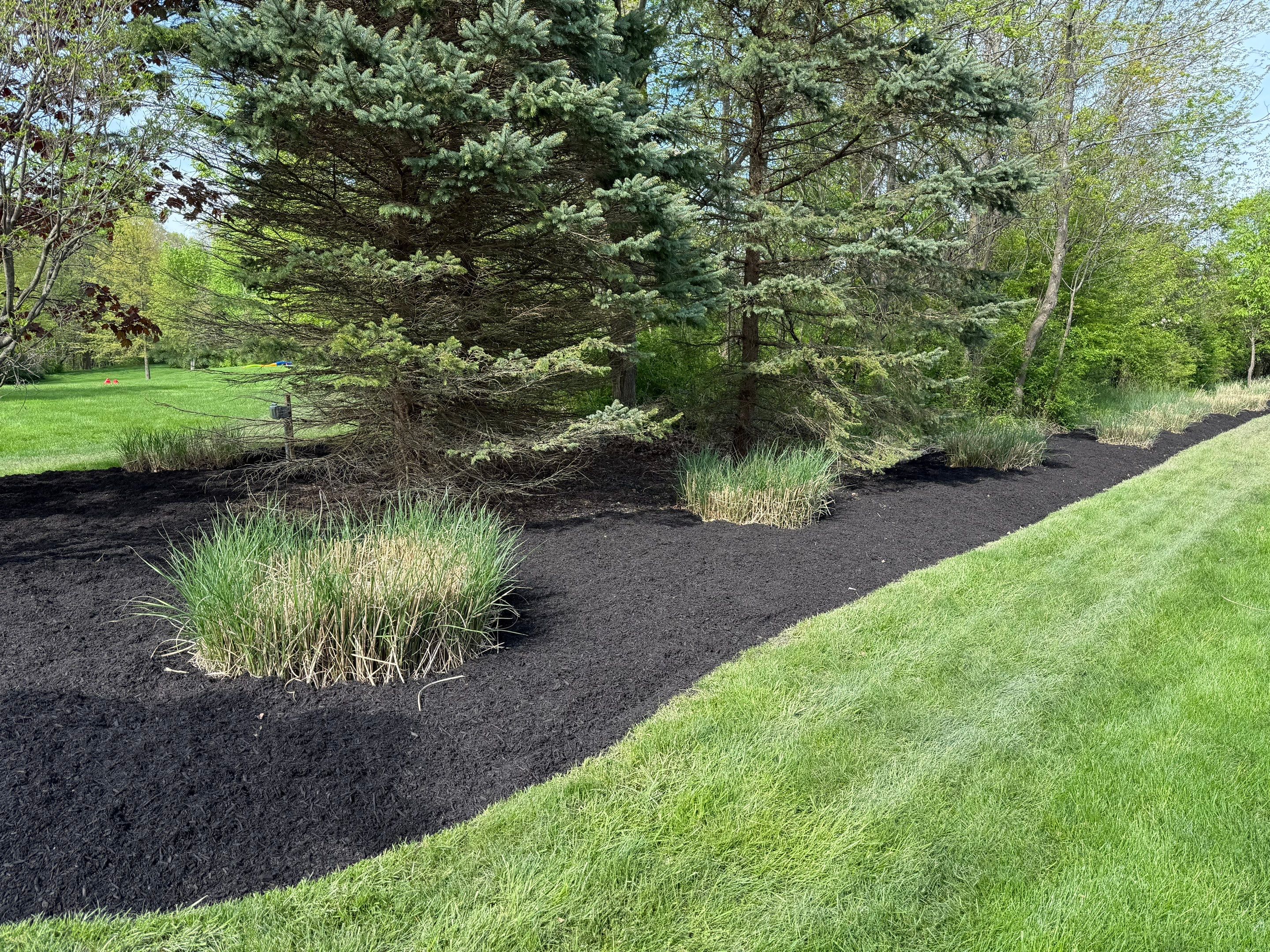 Acreage Maintenance Project by Elm Rose Gardens