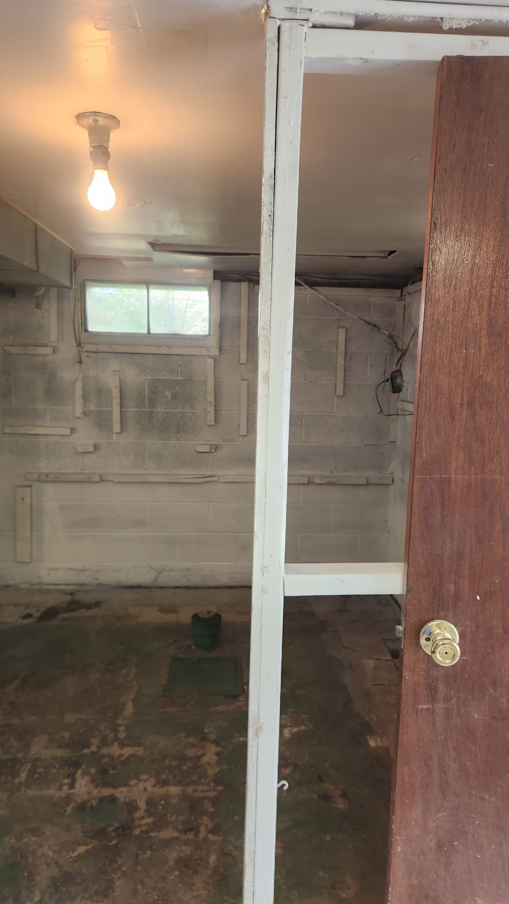 Interior French Drain & Mold Remediation Project in Manville, New Jersey by Pure Service Pro, LLC 