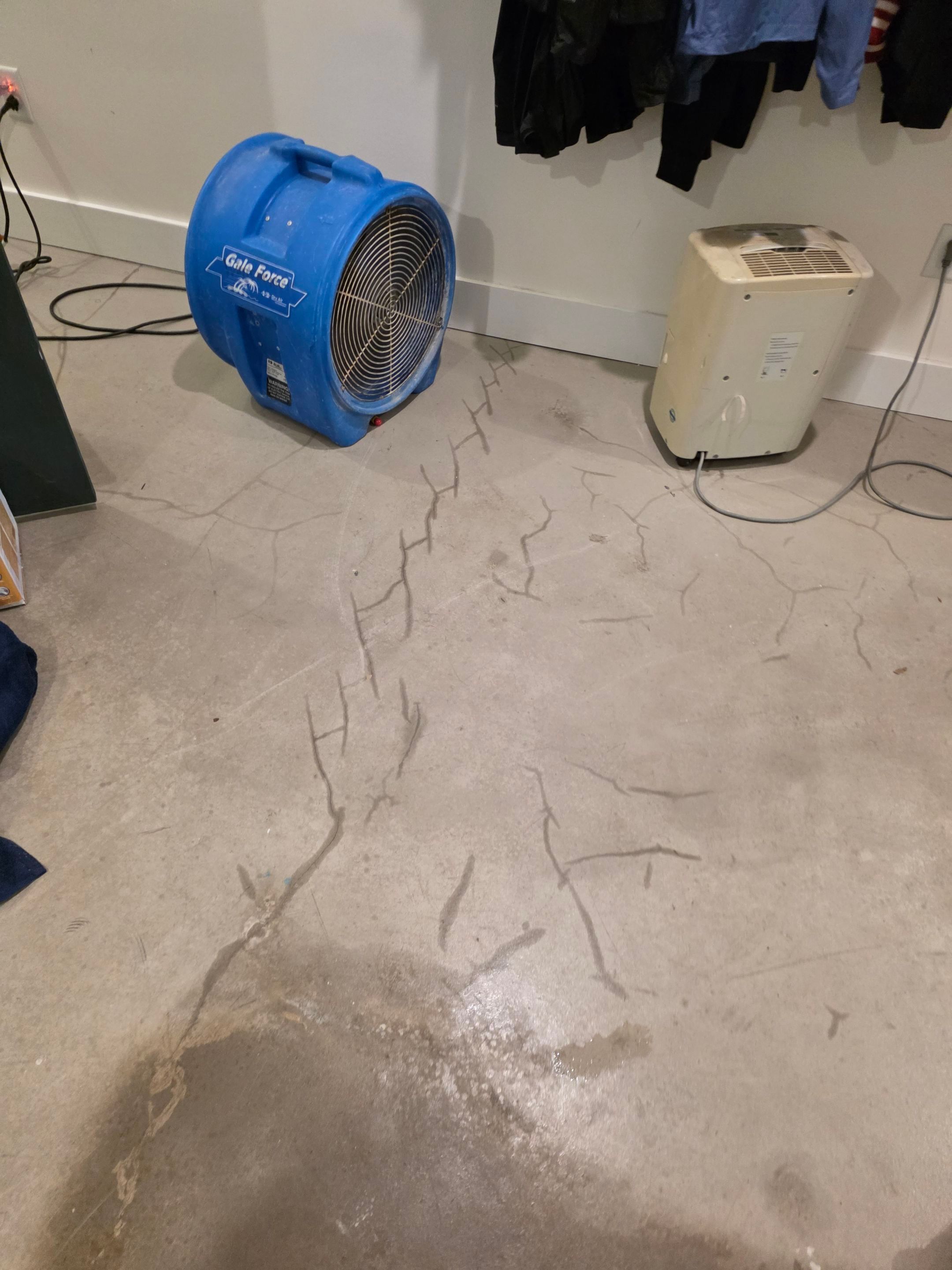 Anna and Allan Branch  by Service Restoration