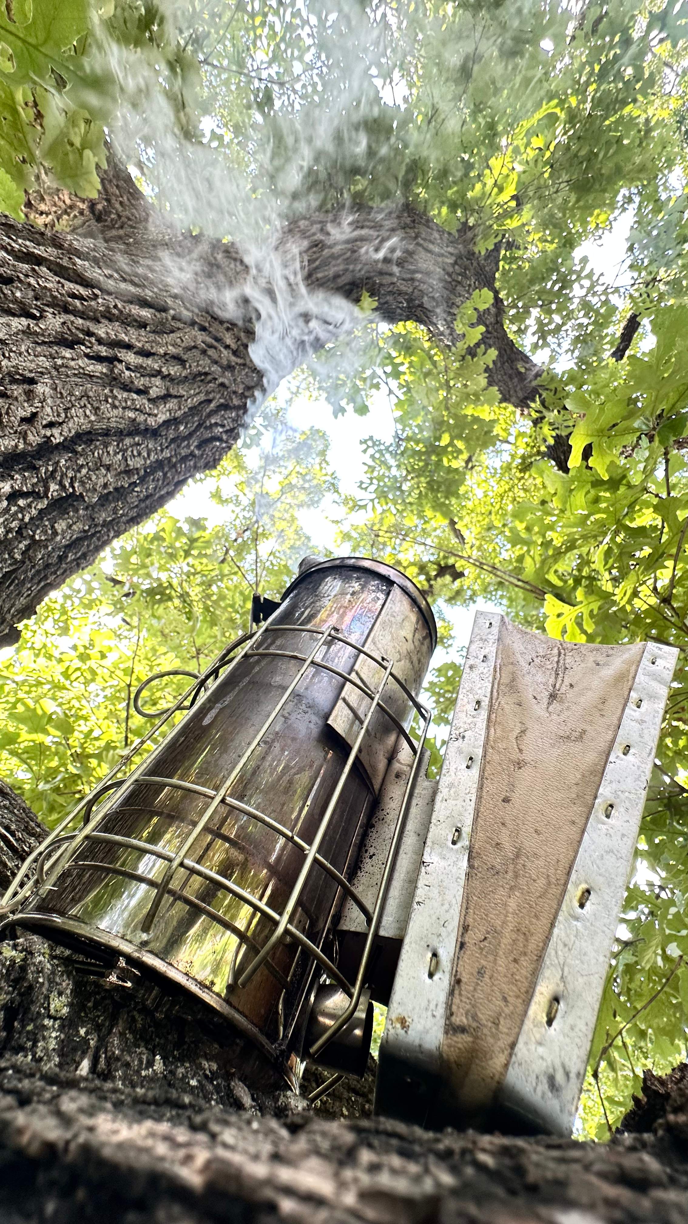 Tight Squeeze by Rockwall Honey Bee Company