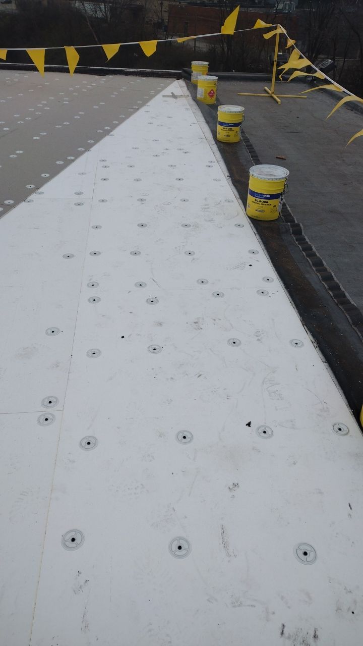 Commercial flat roof parma by Absolute Roofing and Construction