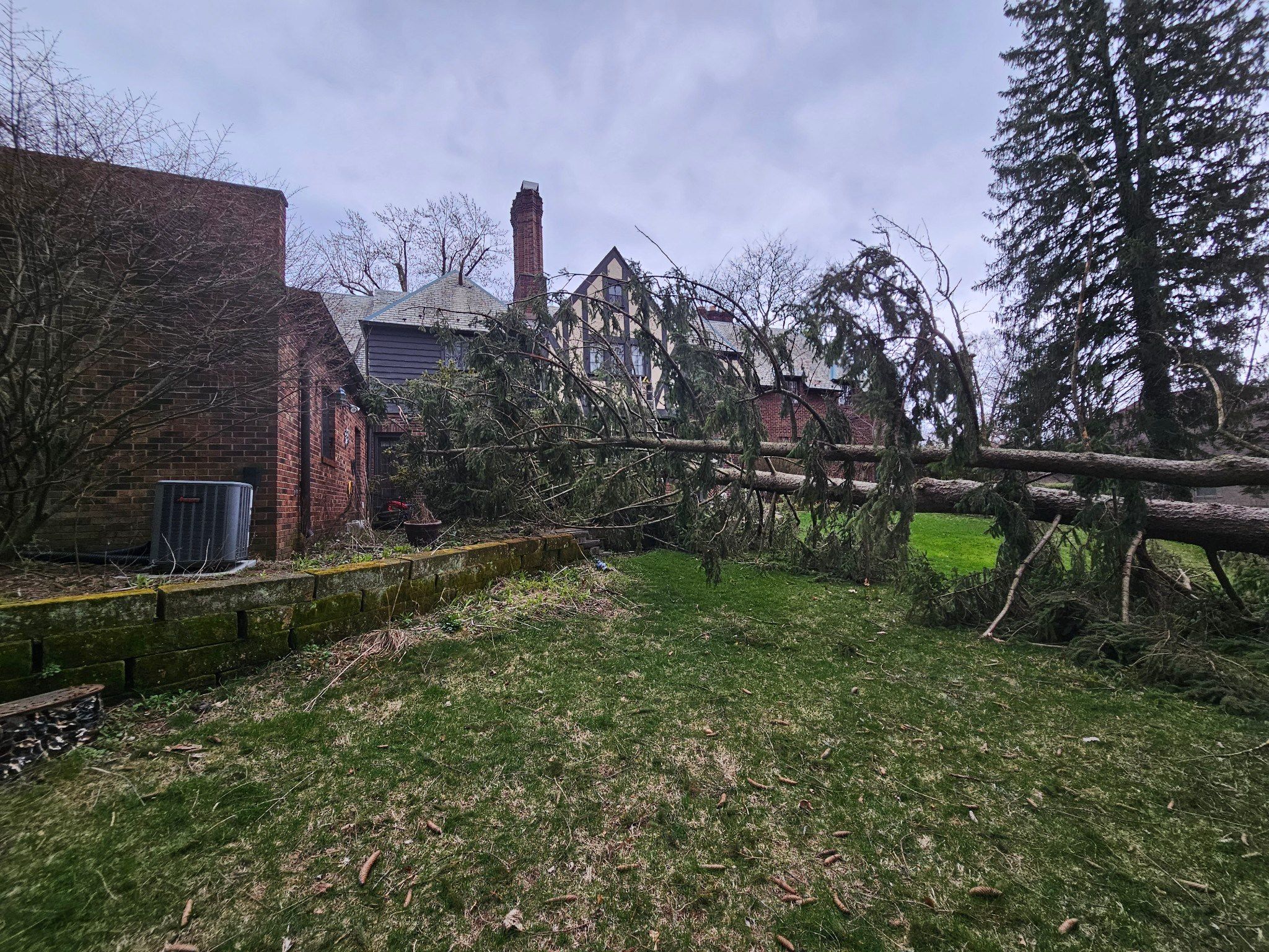 Tree Removal using Tree Removal by Mike Jones & Sons Tree Service LLC 