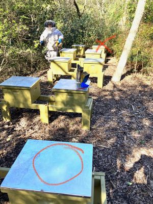 Lakewood Apiary by White Rock Lake- another Ag. Exempt Property