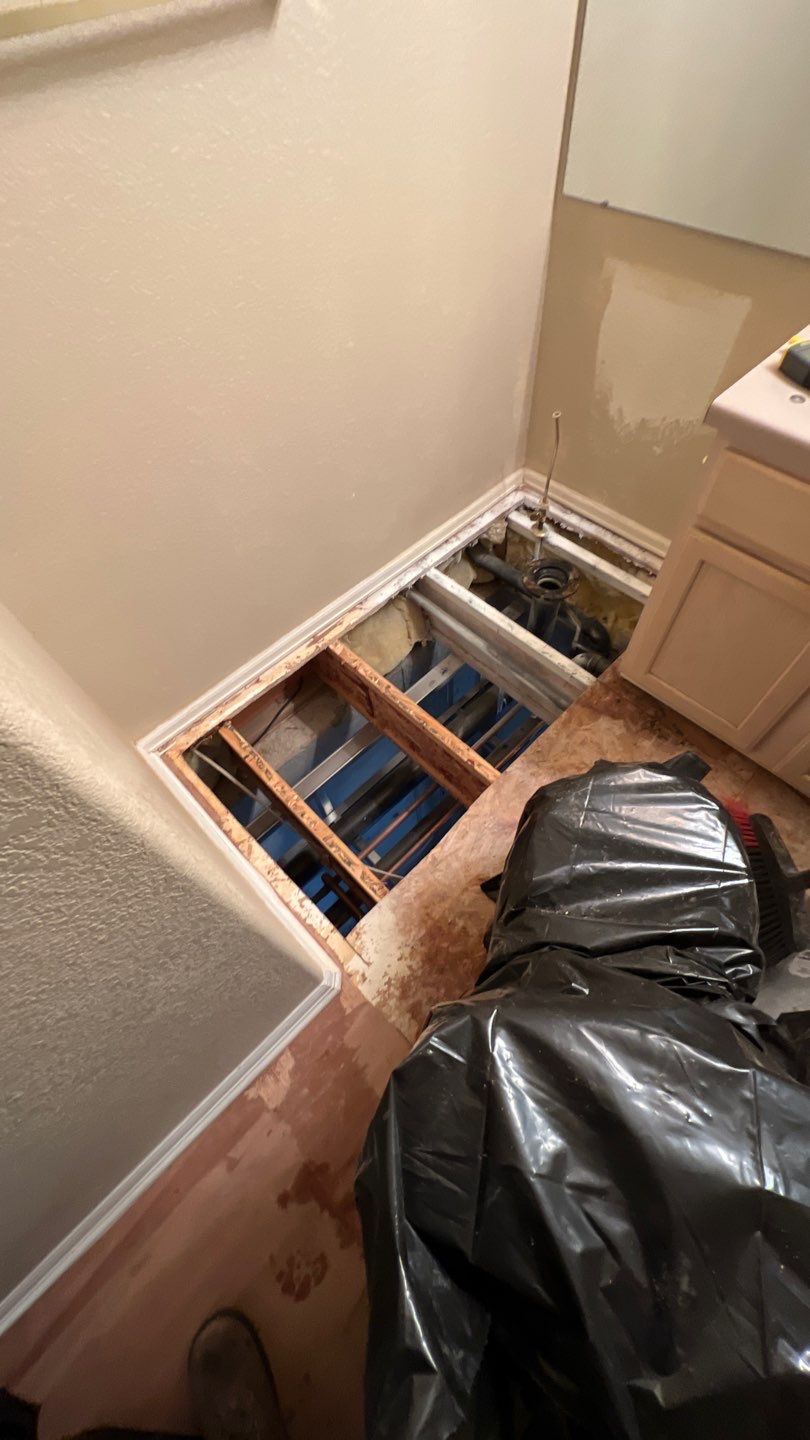 Mold Remediation by Accountable Home Services
