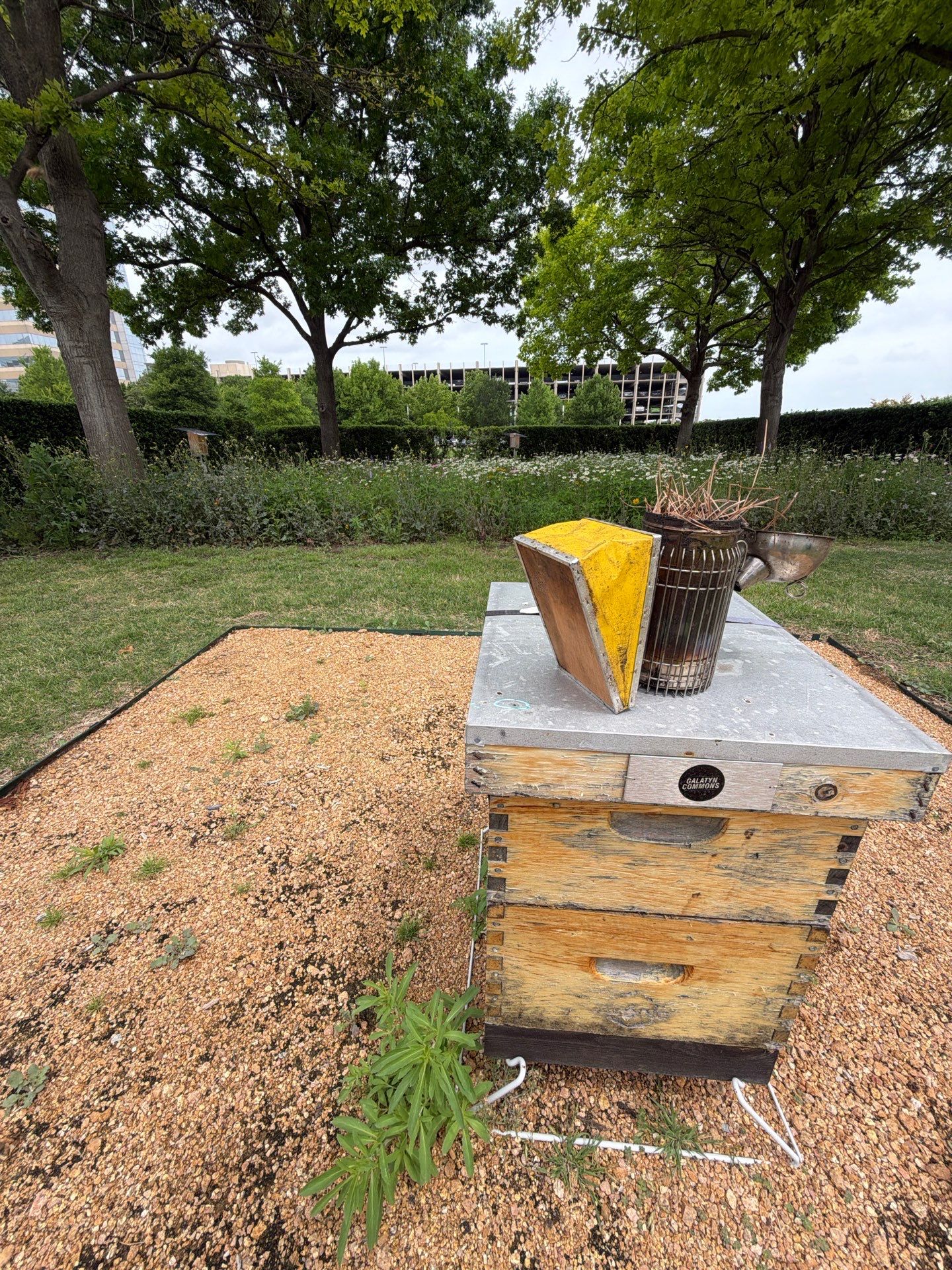 Richdardson Corporate Bees by Rockwall Honey Bee Company