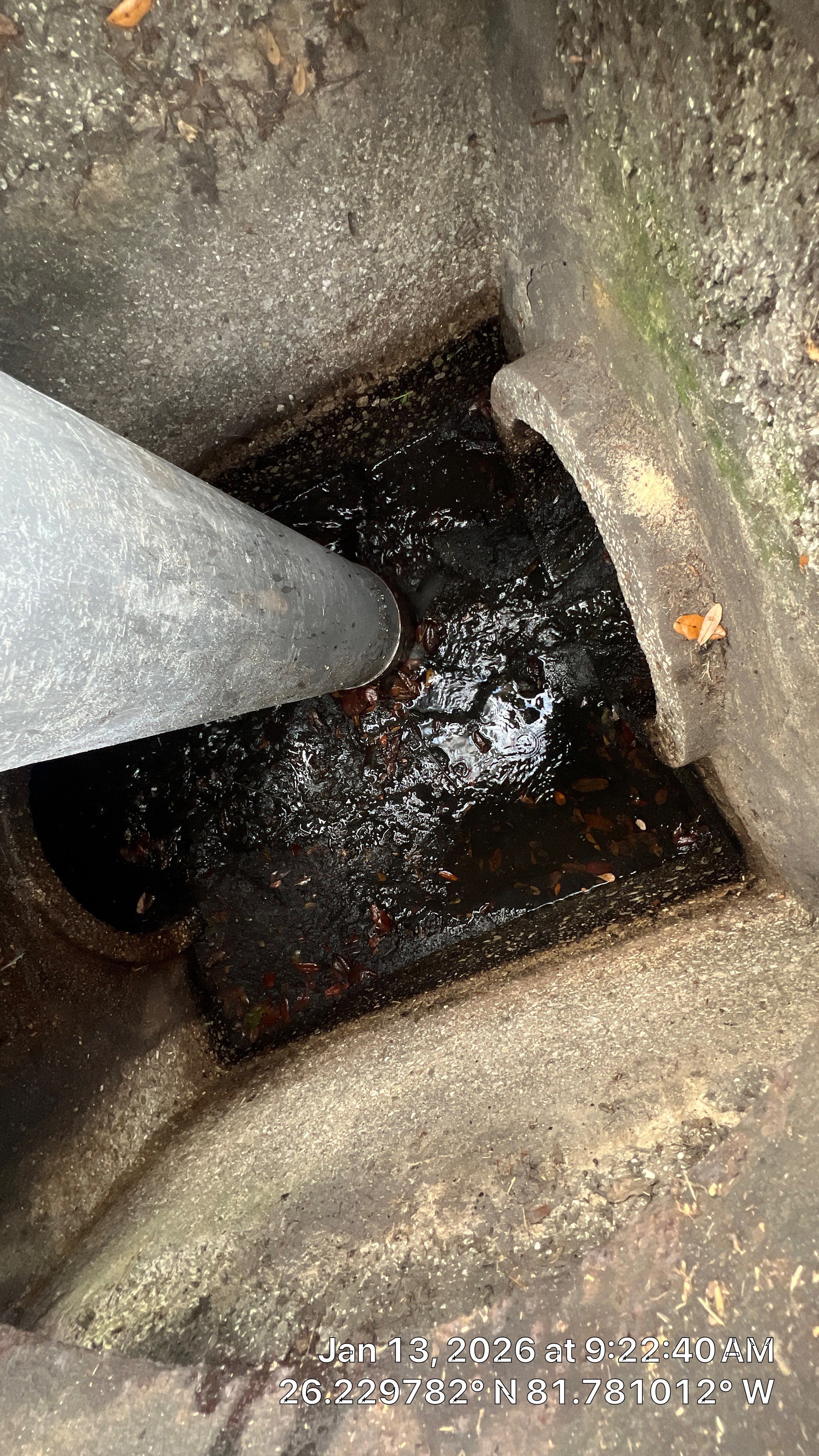 Naples Community Root Intrusion Investigation with P.R.S. by APS Power & Water