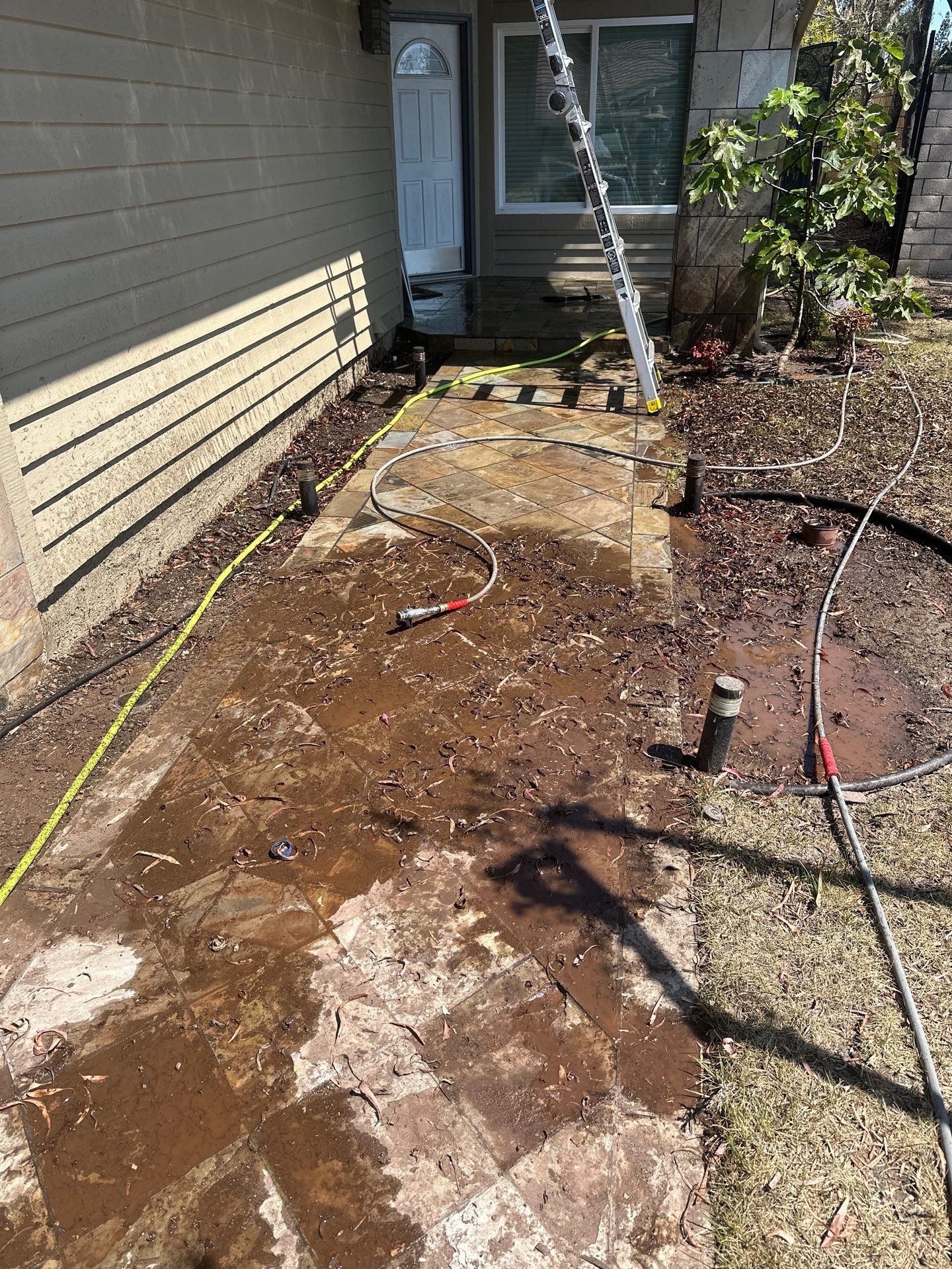 Orange County Roof Washing in Lake Forest by Property Cleaning Experts