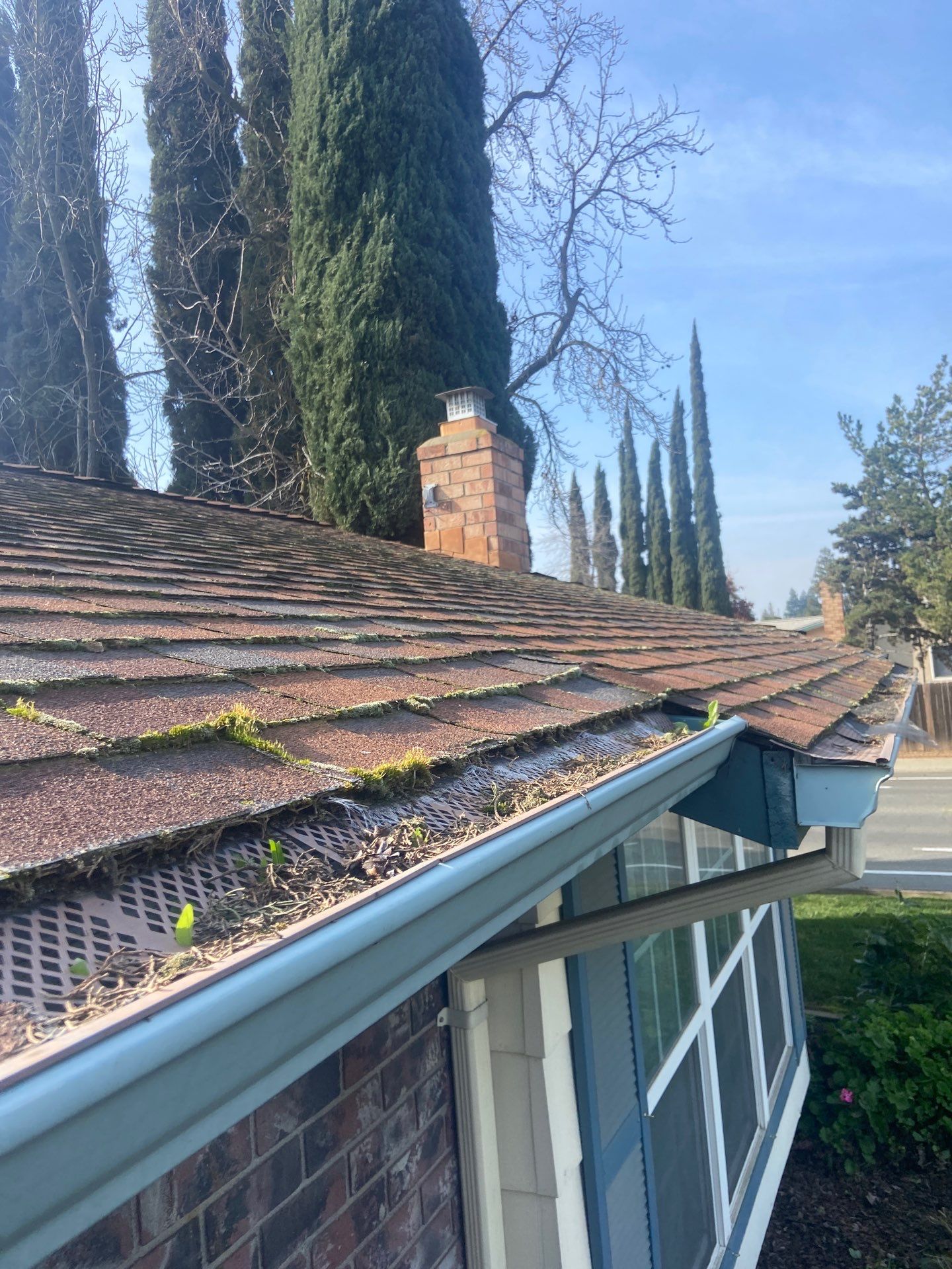 Roof Rejuvenation using Roof Maxx Treatment by Roof Maxx of Folsom