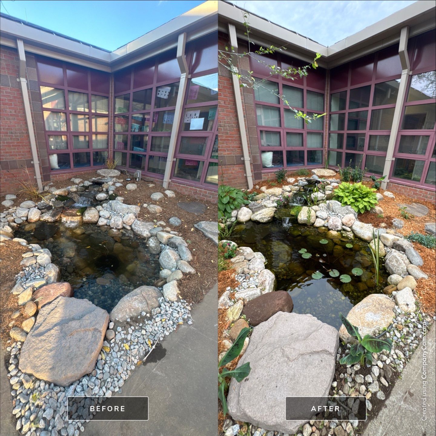 Deerfield Elementary School Koi Pond Build by Wicked Water Gardens