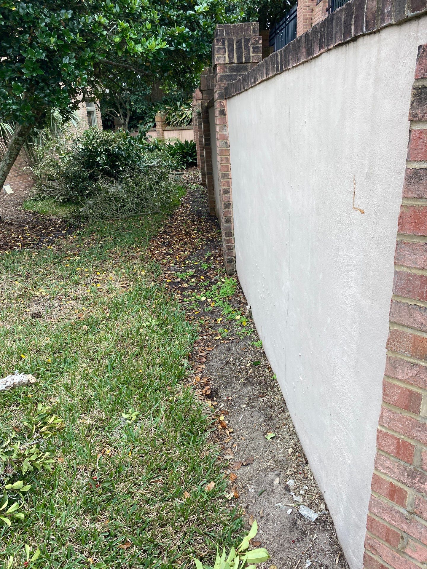 Deerwood Pointe | Tree Removal & Pine Straw Installation by ProGreen Services