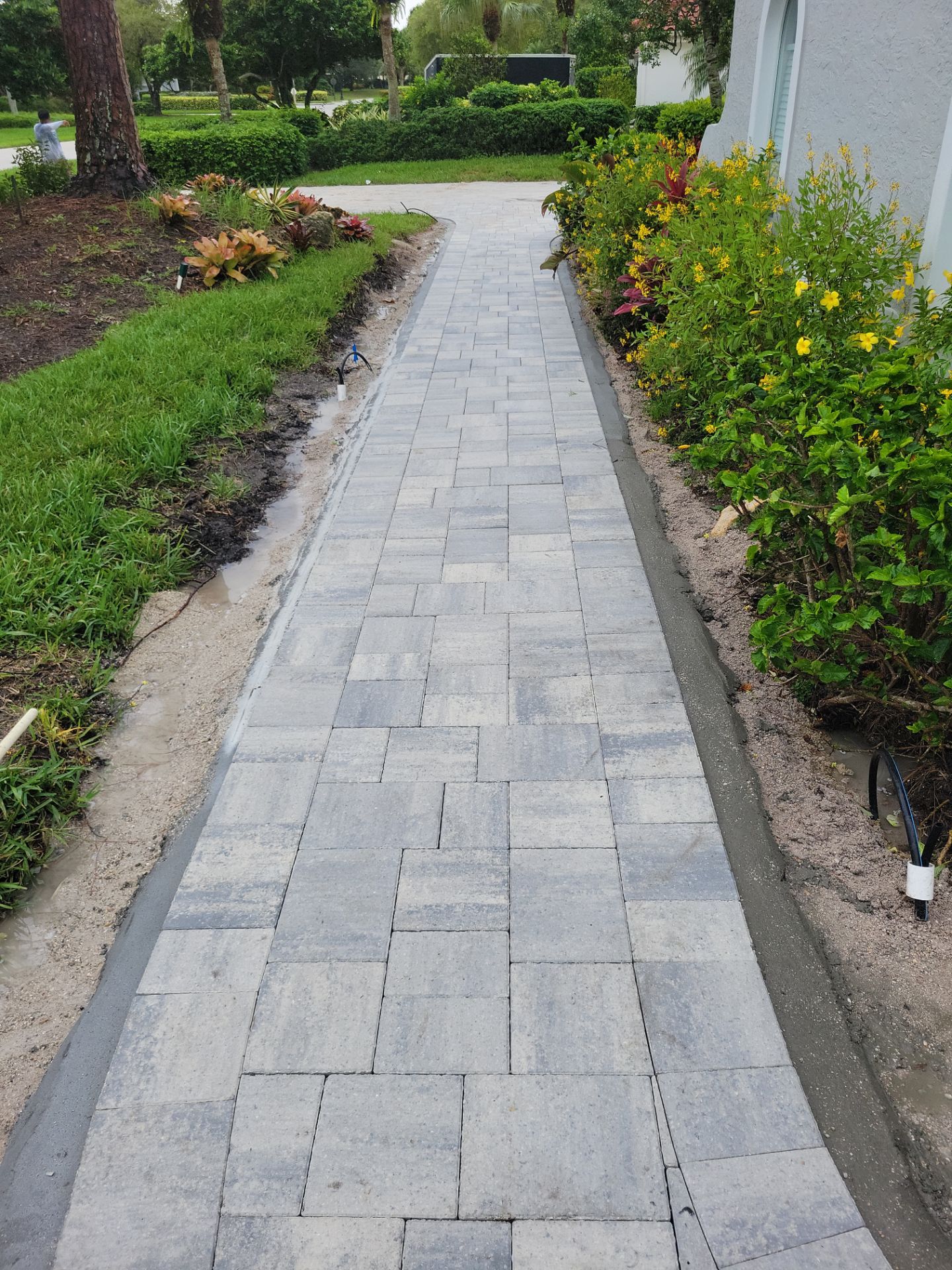 🌴 “Harbour Ridge Haven – A Tropical Revival by Alpha Zeta Landscapes” by Alpha Zeta Enterprises Inc