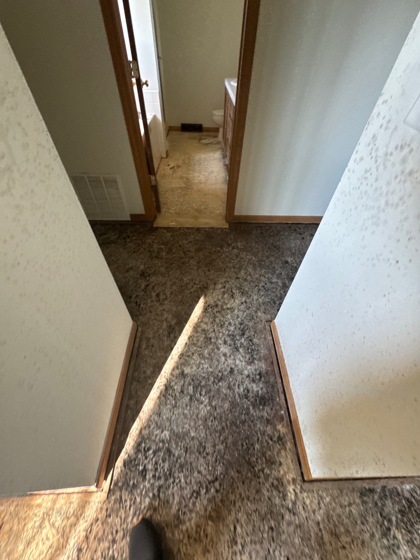 Project in Richmond by EzDry Water Mitigation & Property Restoration