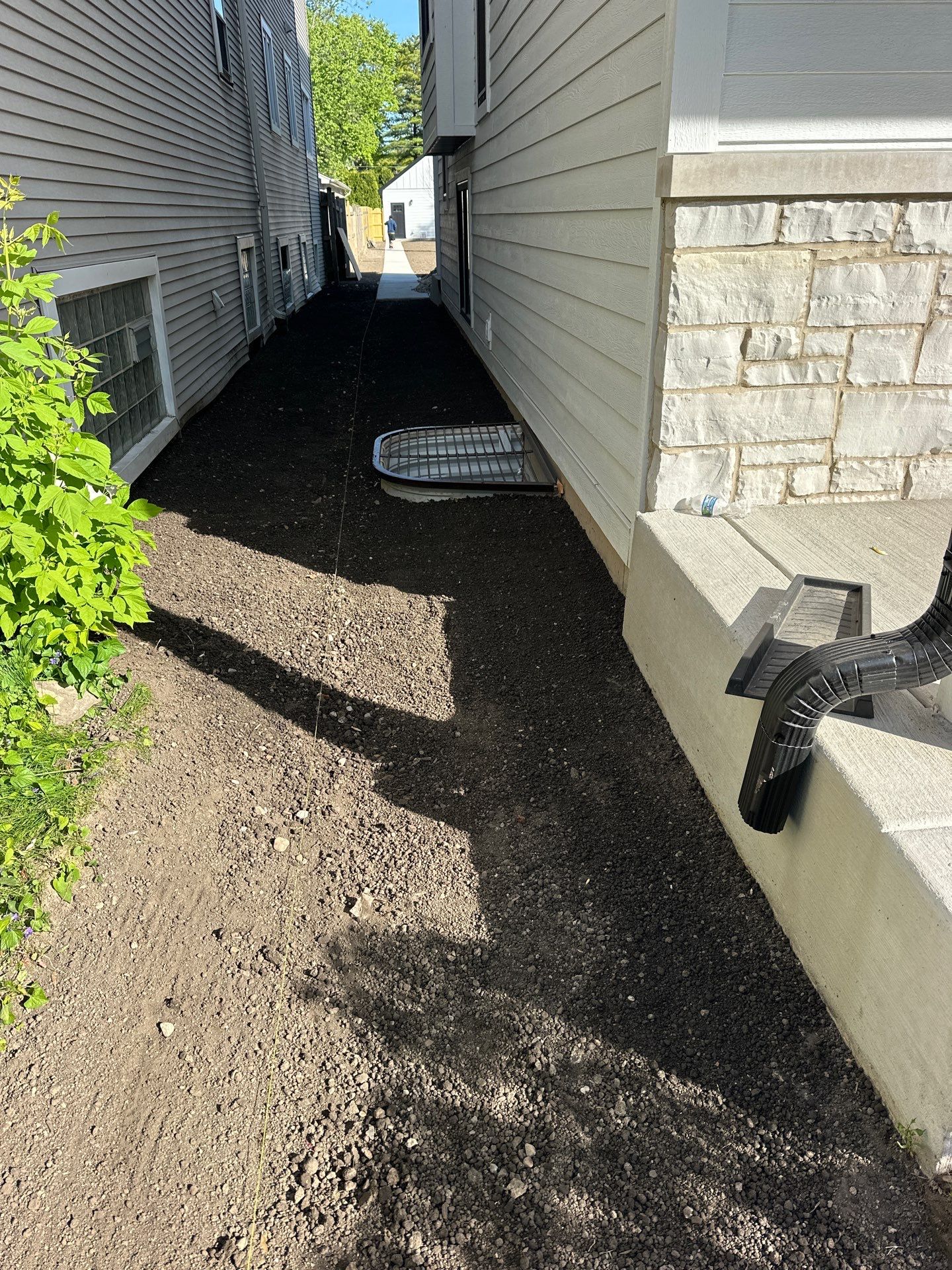 Tom D. - Wilmette, IL by A&N