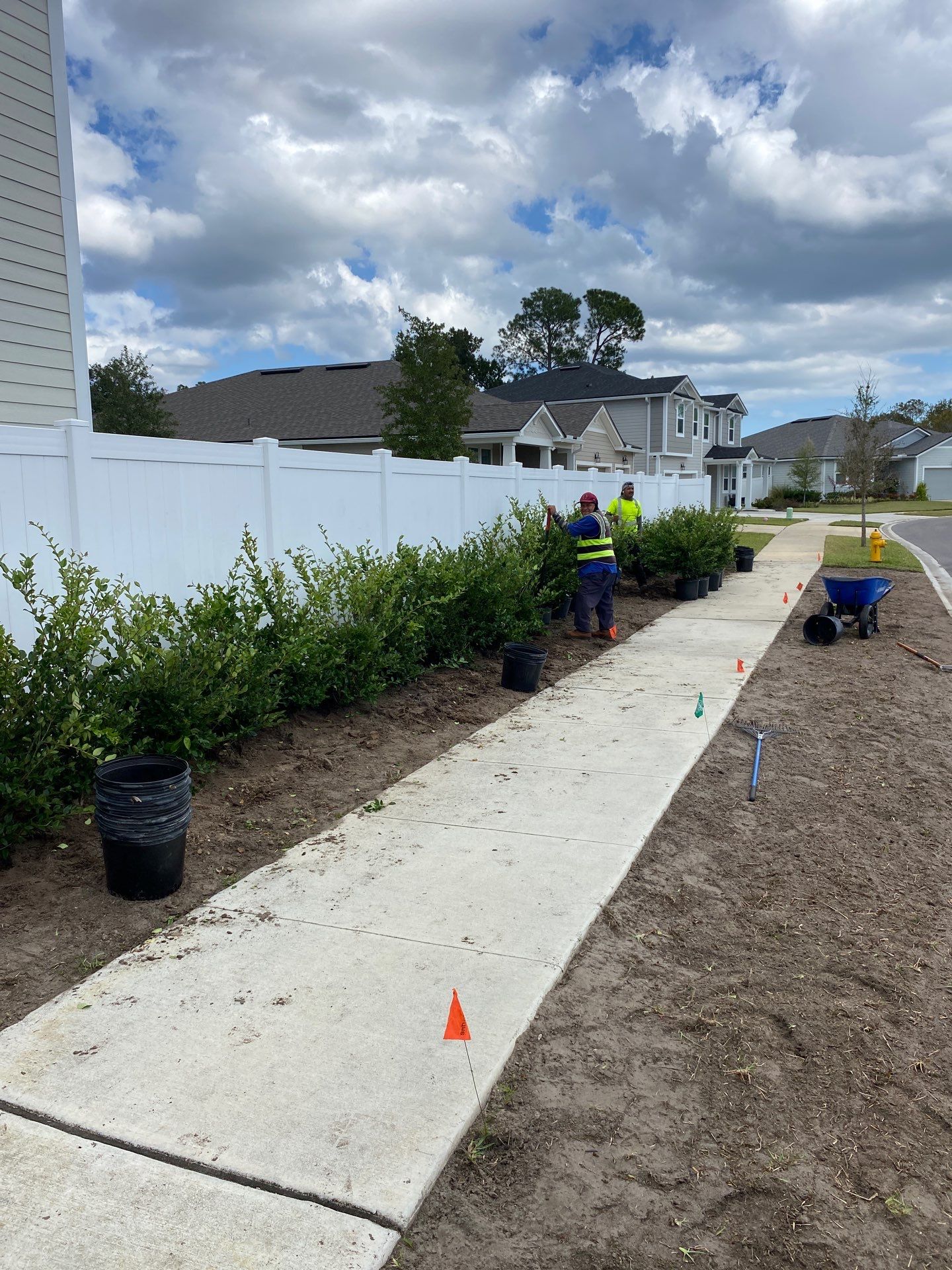 Sod & Shrub Install | Residential  by ProGreen Services