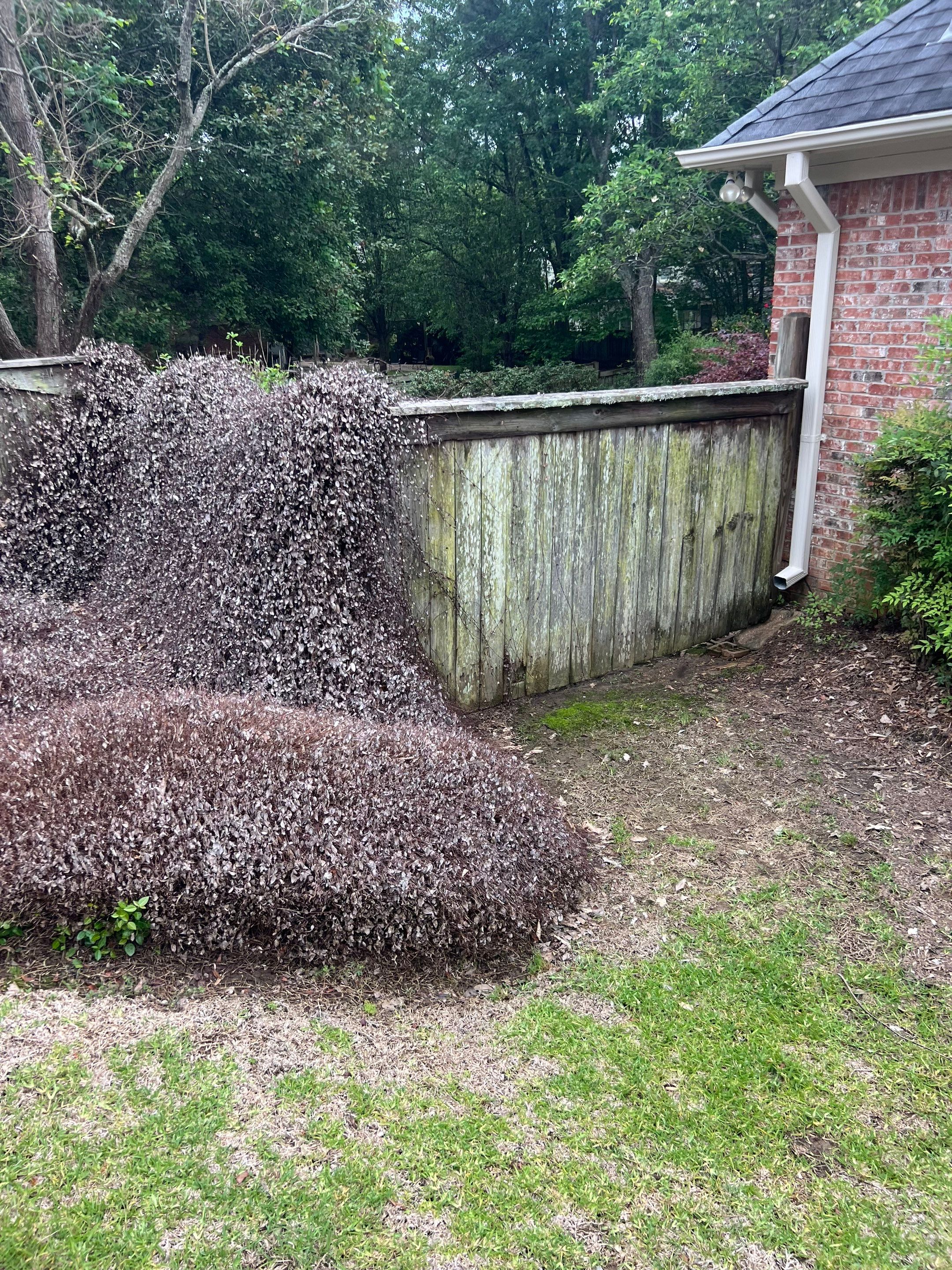 6ft Cedar Good Neighbor Privacy Fence  by Roberson Construction LLC