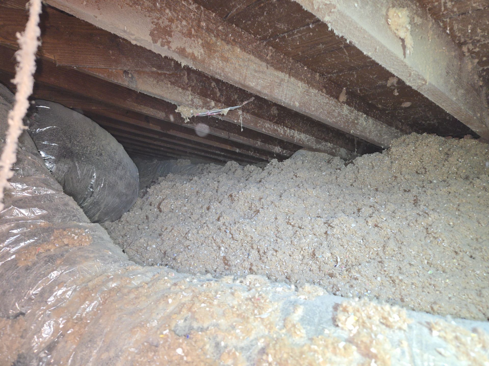 Project in Norfolk by Patriot Crawl Space Repairs