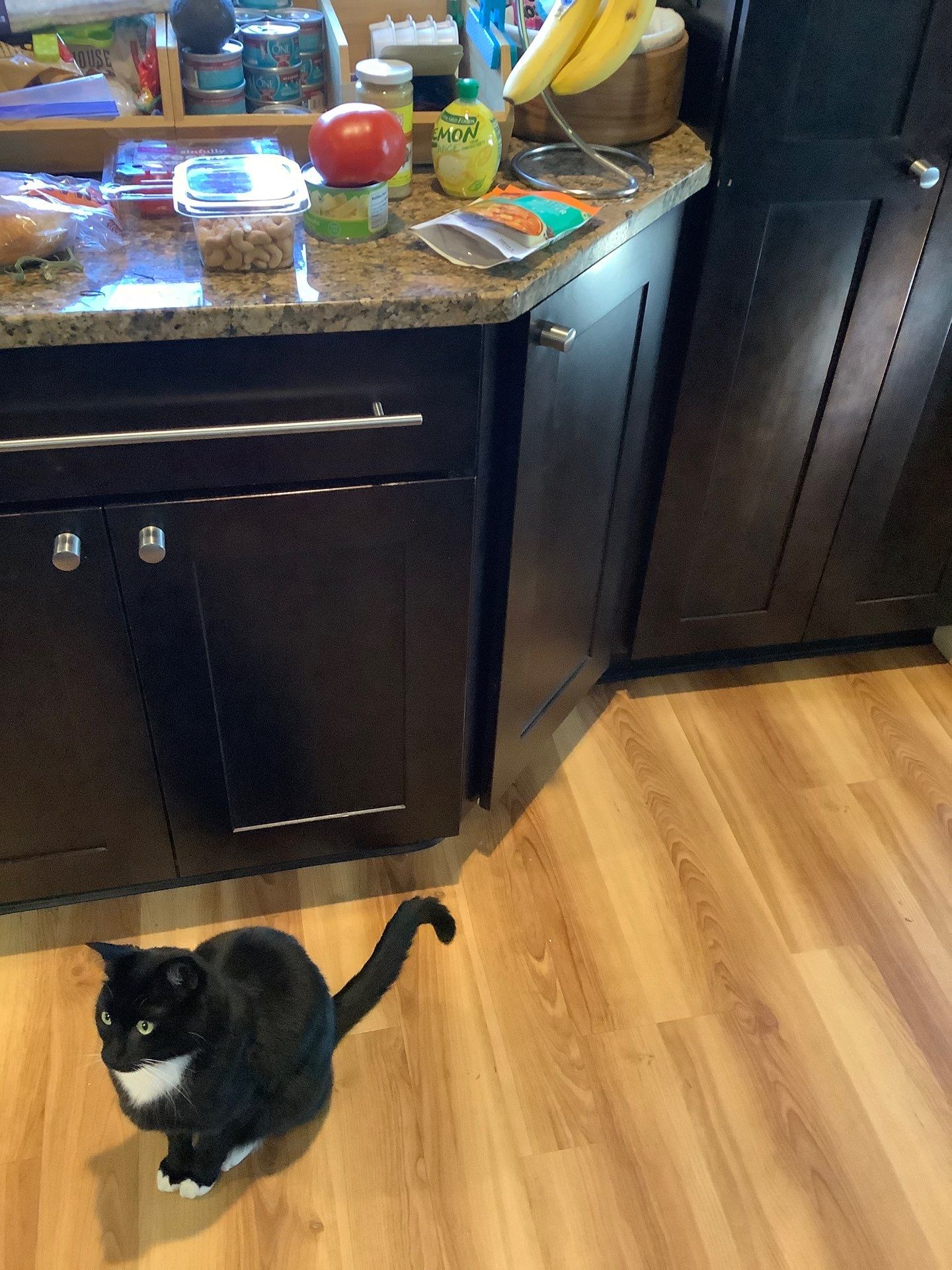 Cabinet Painting  by Dennis Moffitt Painting