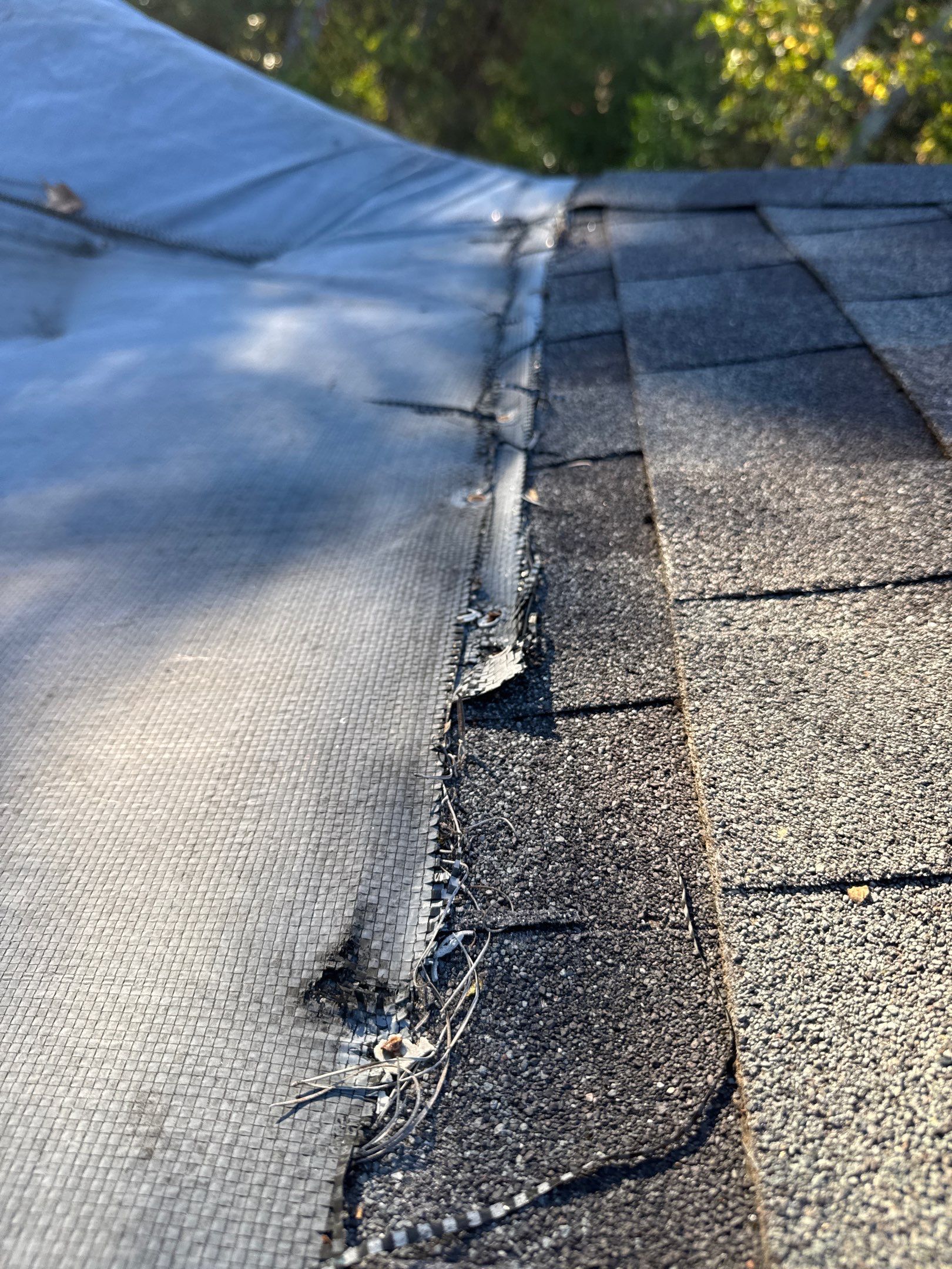 Chyleen Feagin by Tru-Built Roofing