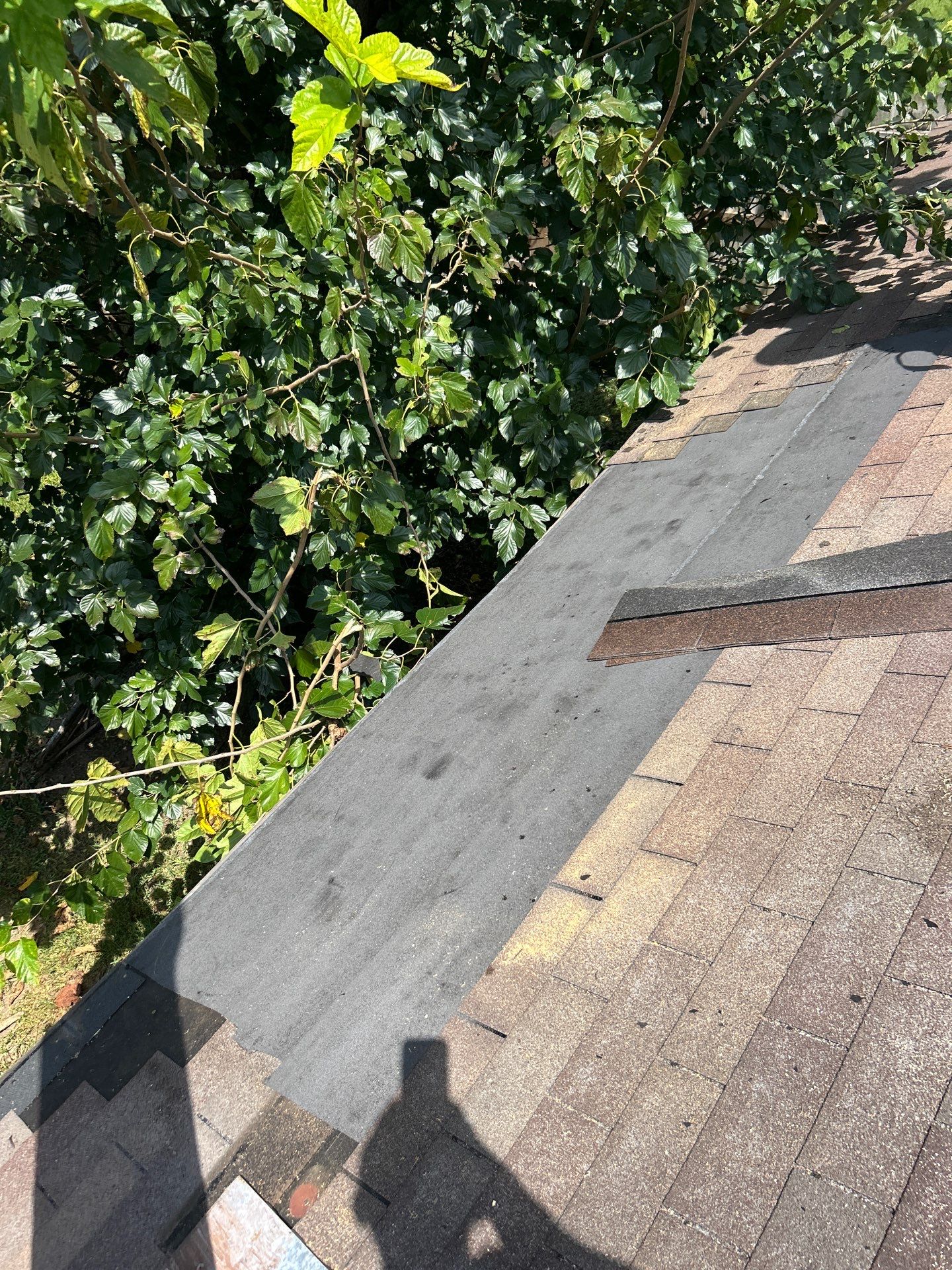 Roof Repair Houston by Roof Repair Services LLC