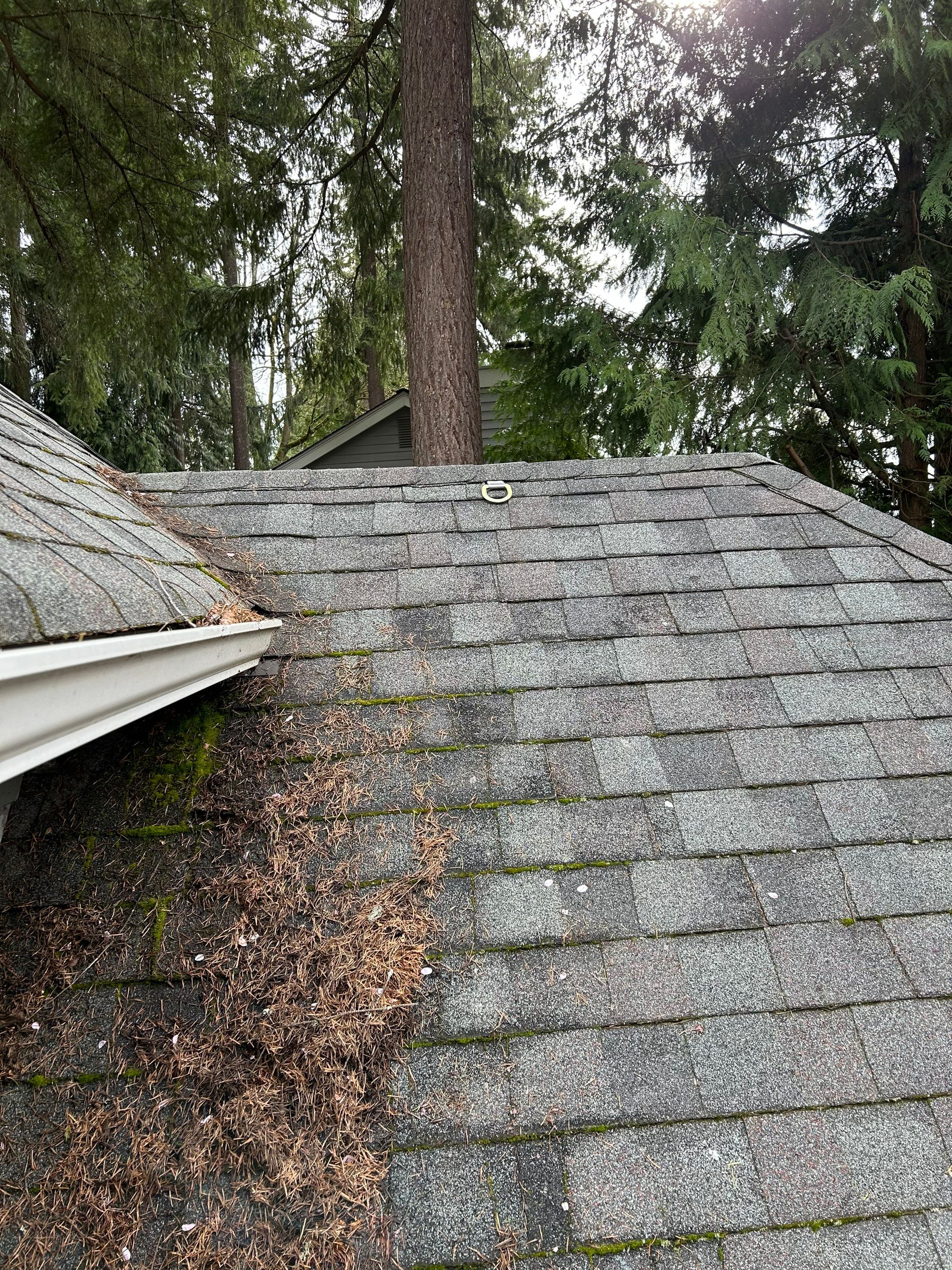 Project in Redmond by Peaks and Valleys Construction